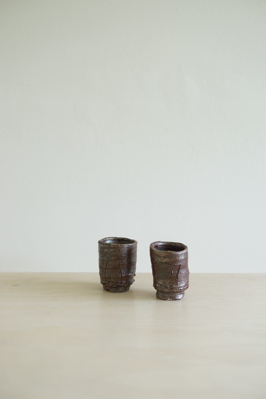 Ryoji Koie, Two Guinomi, 2010