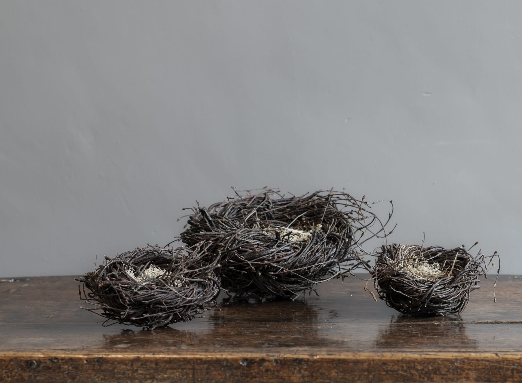 Joe Hogan, Large Birch Twig Nest