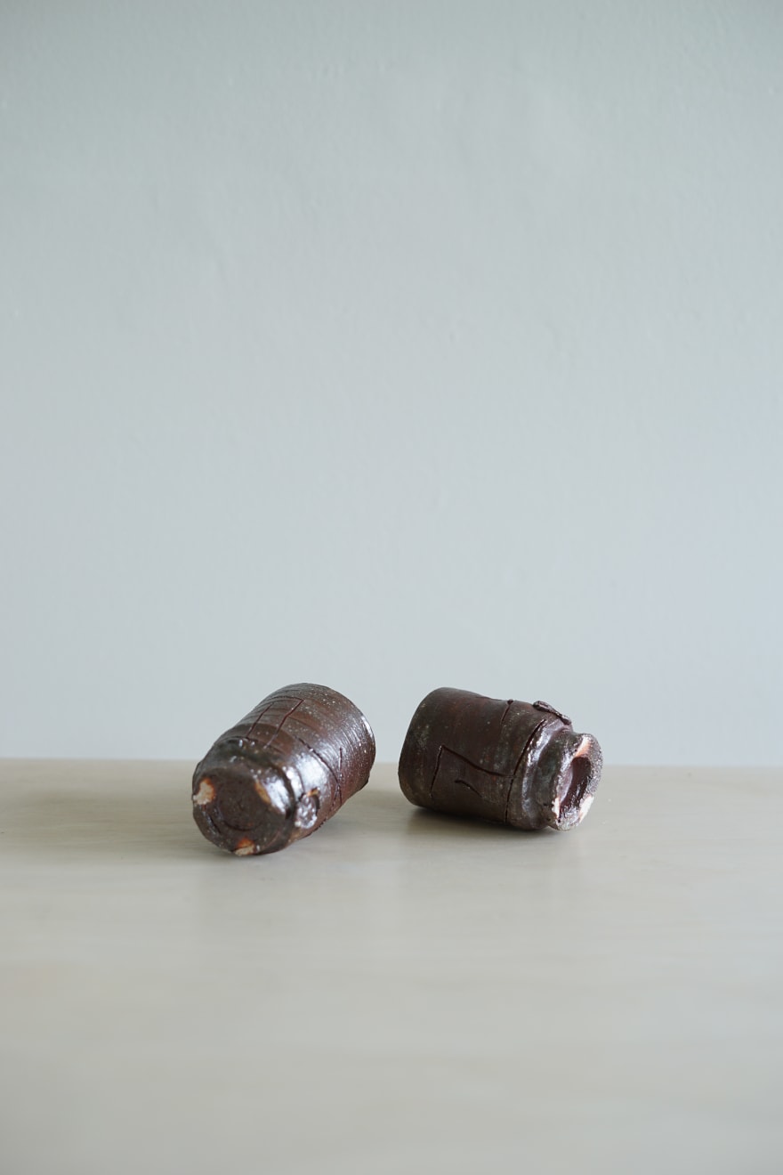 Ryoji Koie, Two Guinomi, 2010