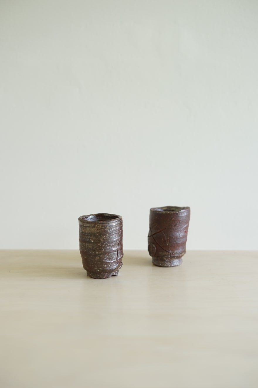 Ryoji Koie, Two Guinomi, 2010