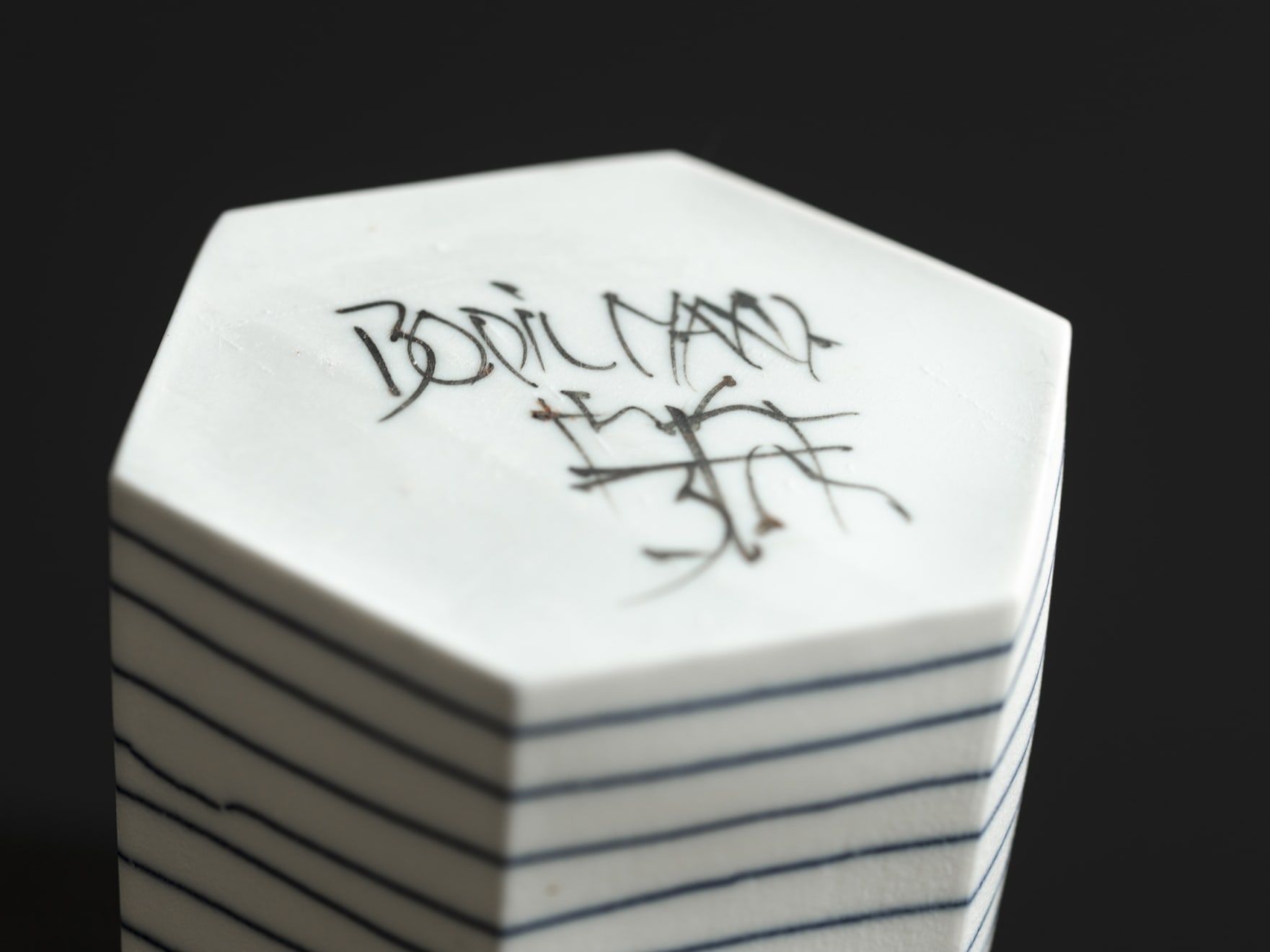 Bodil Manz, Blue Line, 2020