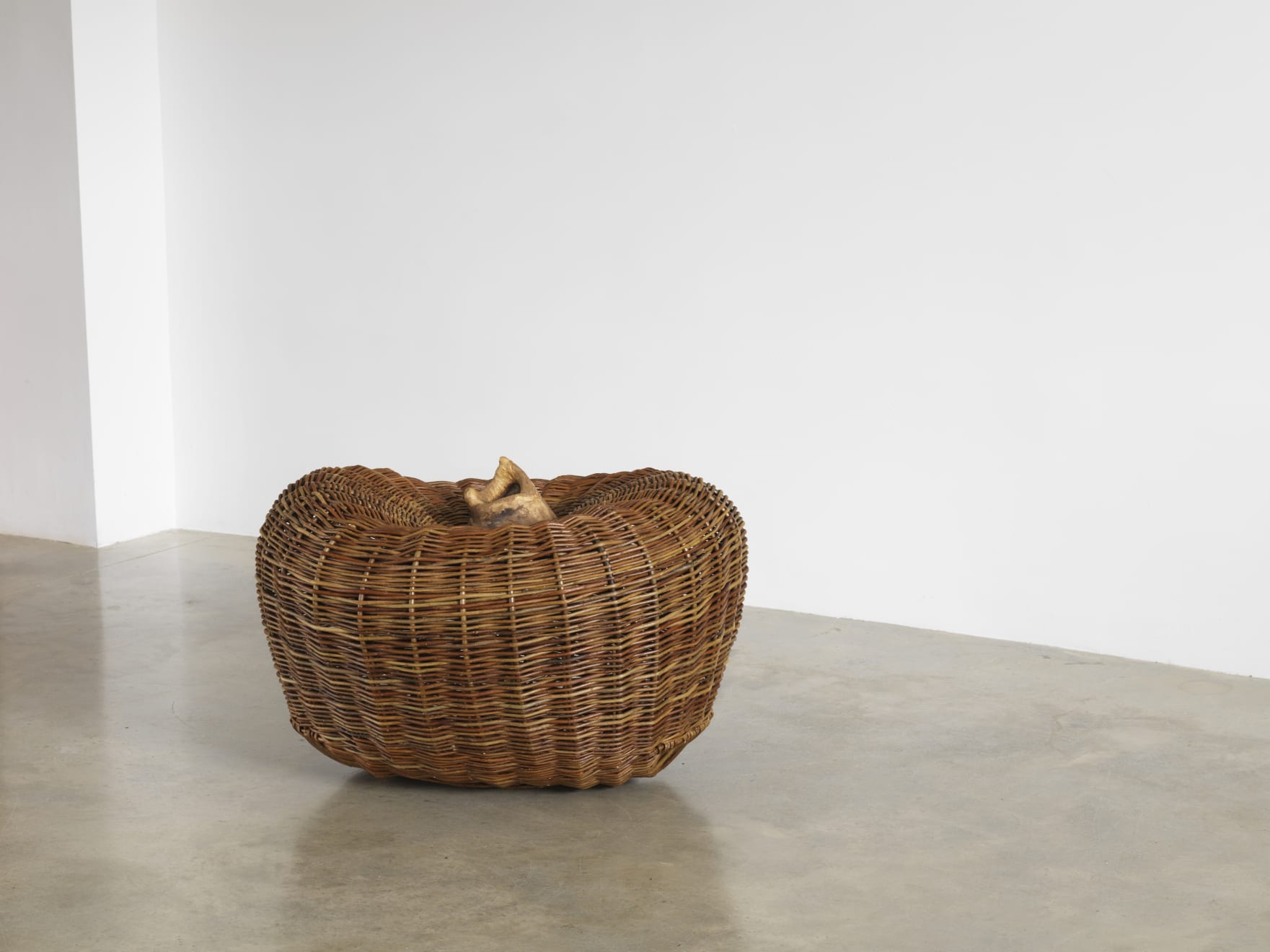 Joe Hogan, Pod on stripped beech wood