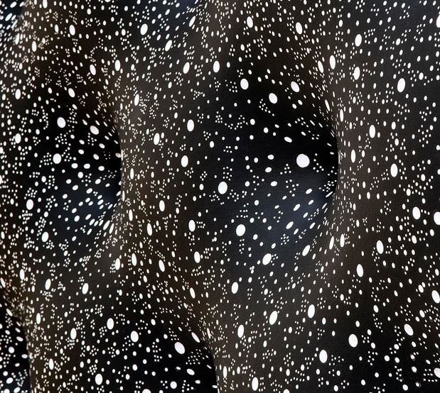 Elizabeth THOMSON, Tonight in the Mystic Garden, 2009