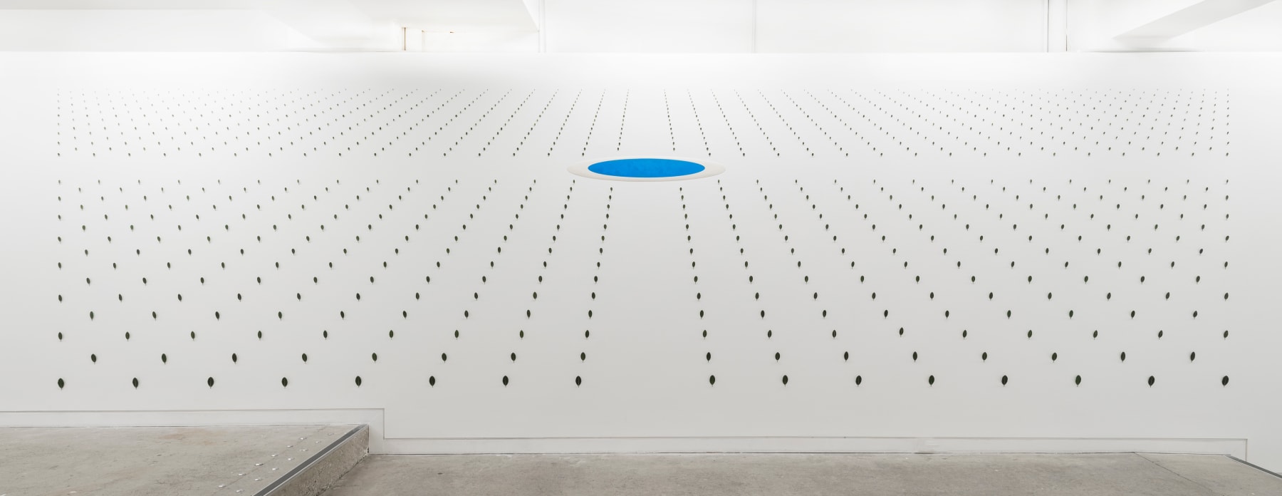 Elizabeth THOMSON, Pool of Memory , 2006 -2023