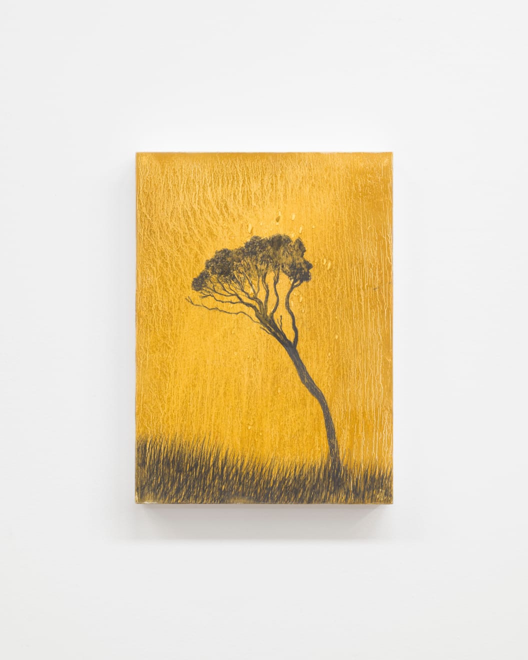 Aroha Gossage, Pōhutukawa, 2024