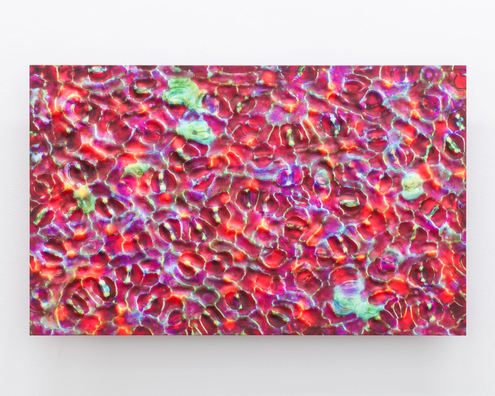Elizabeth THOMSON, Hello Sweet Pea I, 2024
