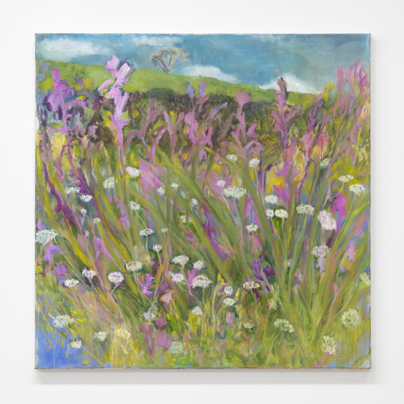 Star GOSSAGE, The Honeysuckles Under the Hill, 2024