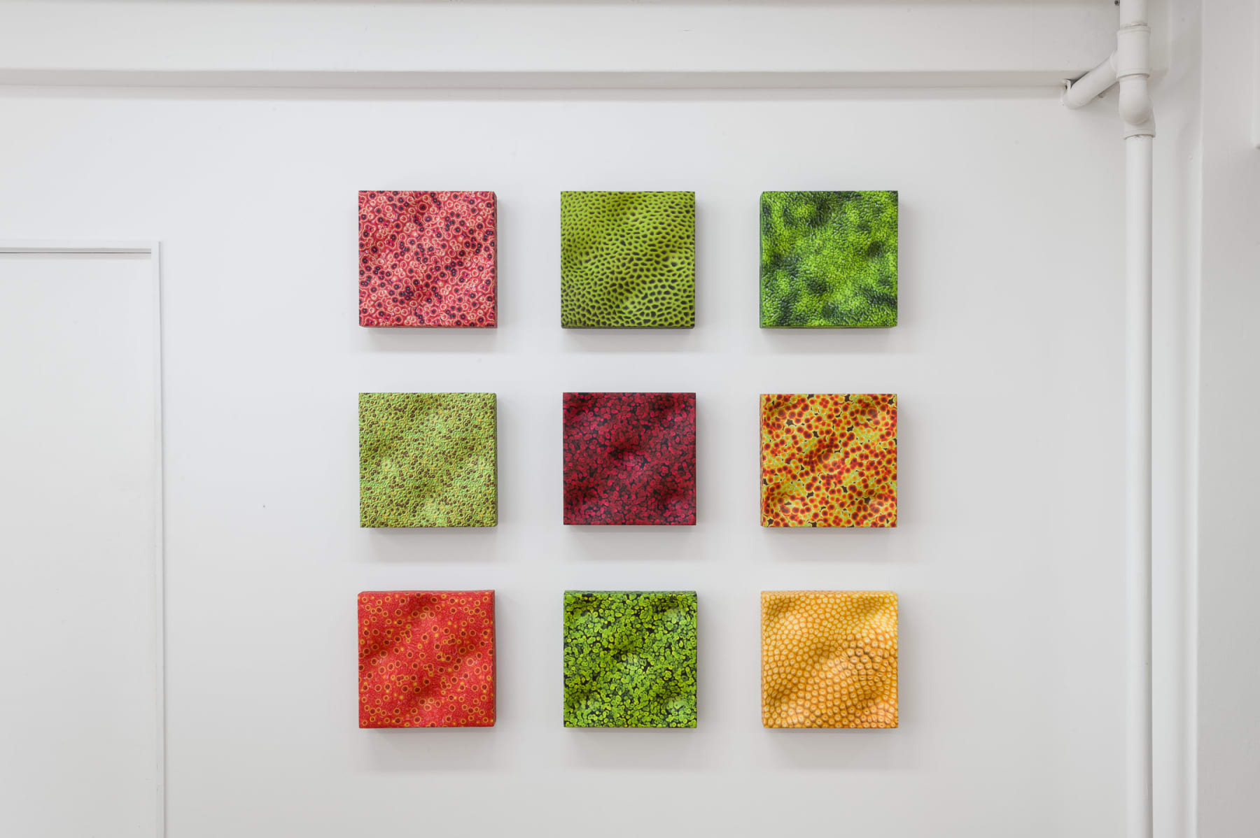 Elizabeth THOMSON, Inner Raoul, 2011