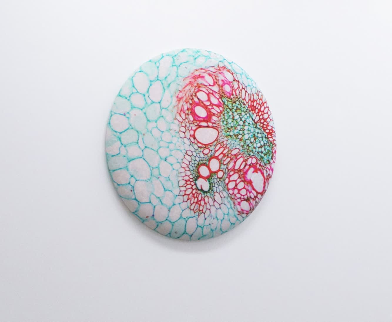 Elizabeth THOMSON, Savage Planet / Lateral Theory, 2019