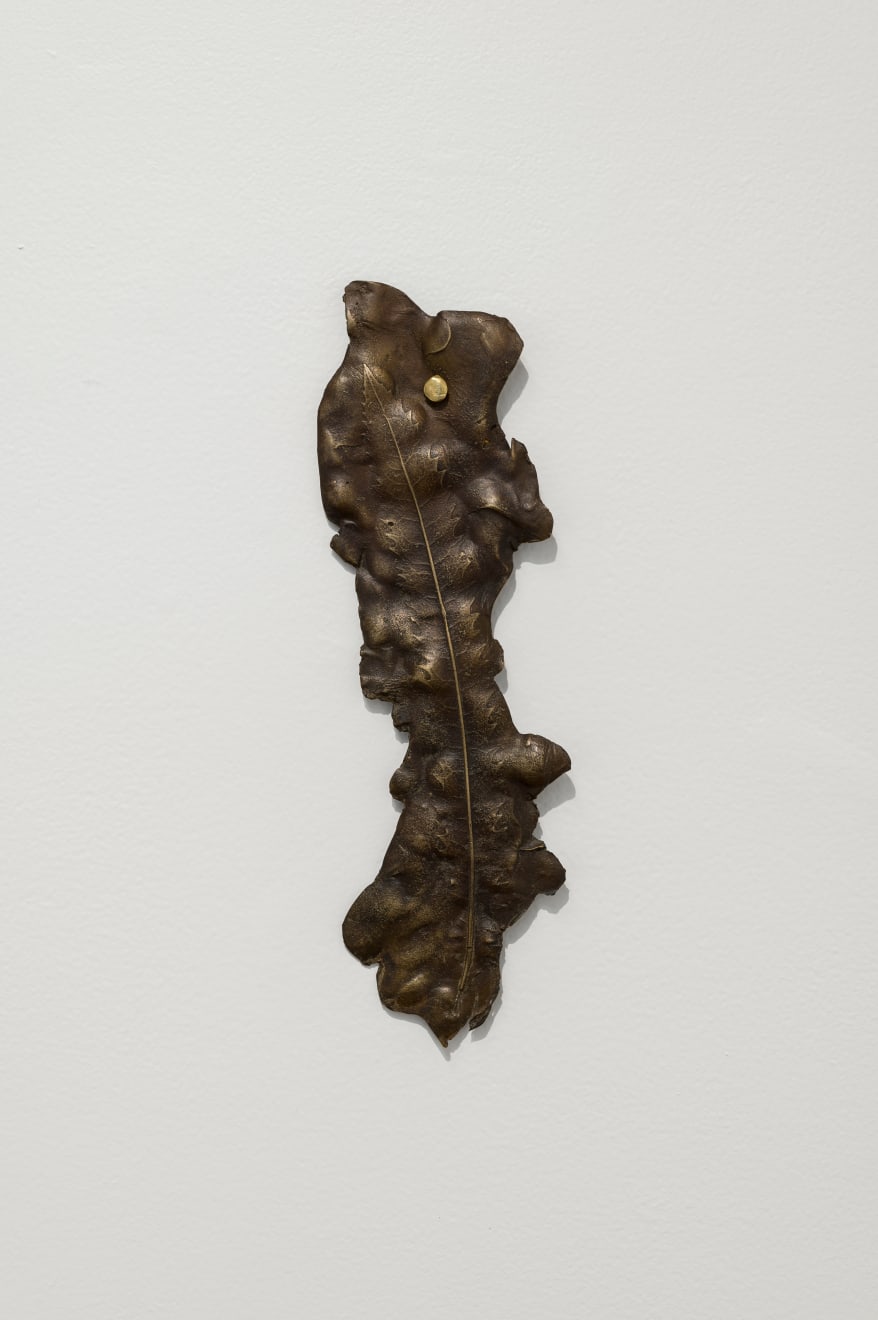 Hannah Valentine, Rewarewa, 2024
