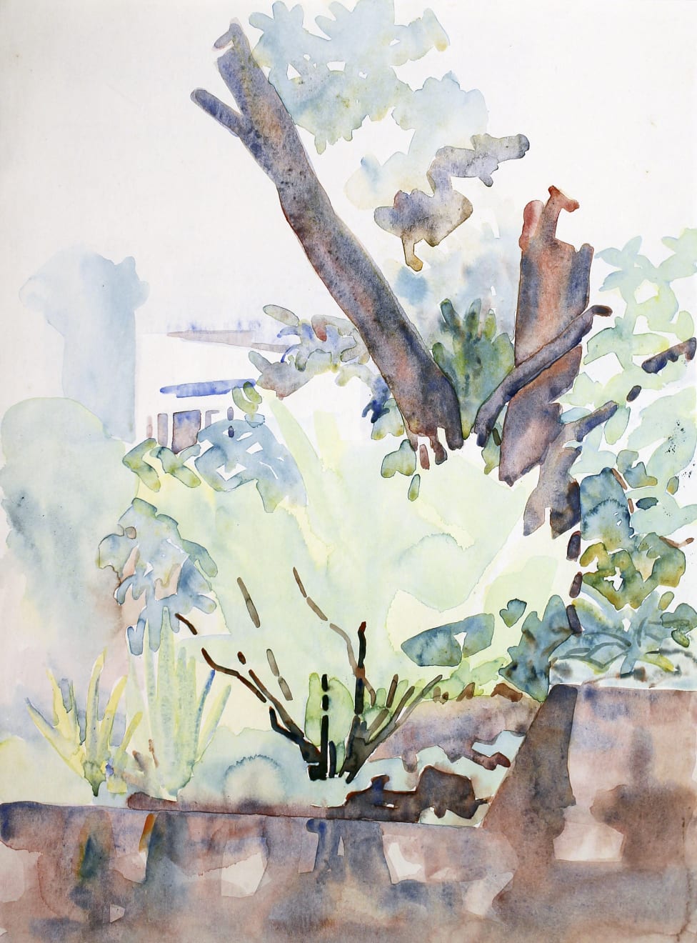 Rita Angus, Tree Study, Thorndon, n.d.