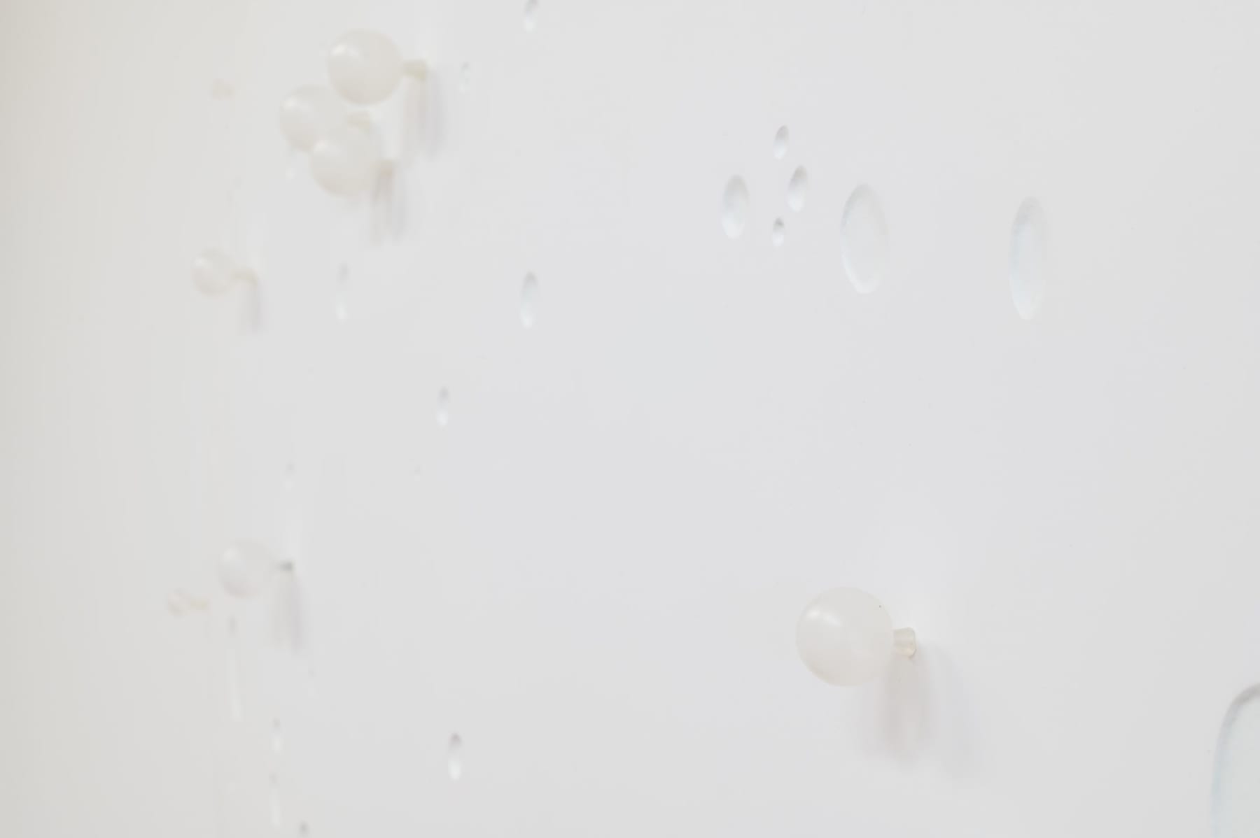 Elizabeth THOMSON, Voyage Sauvage, 2009
