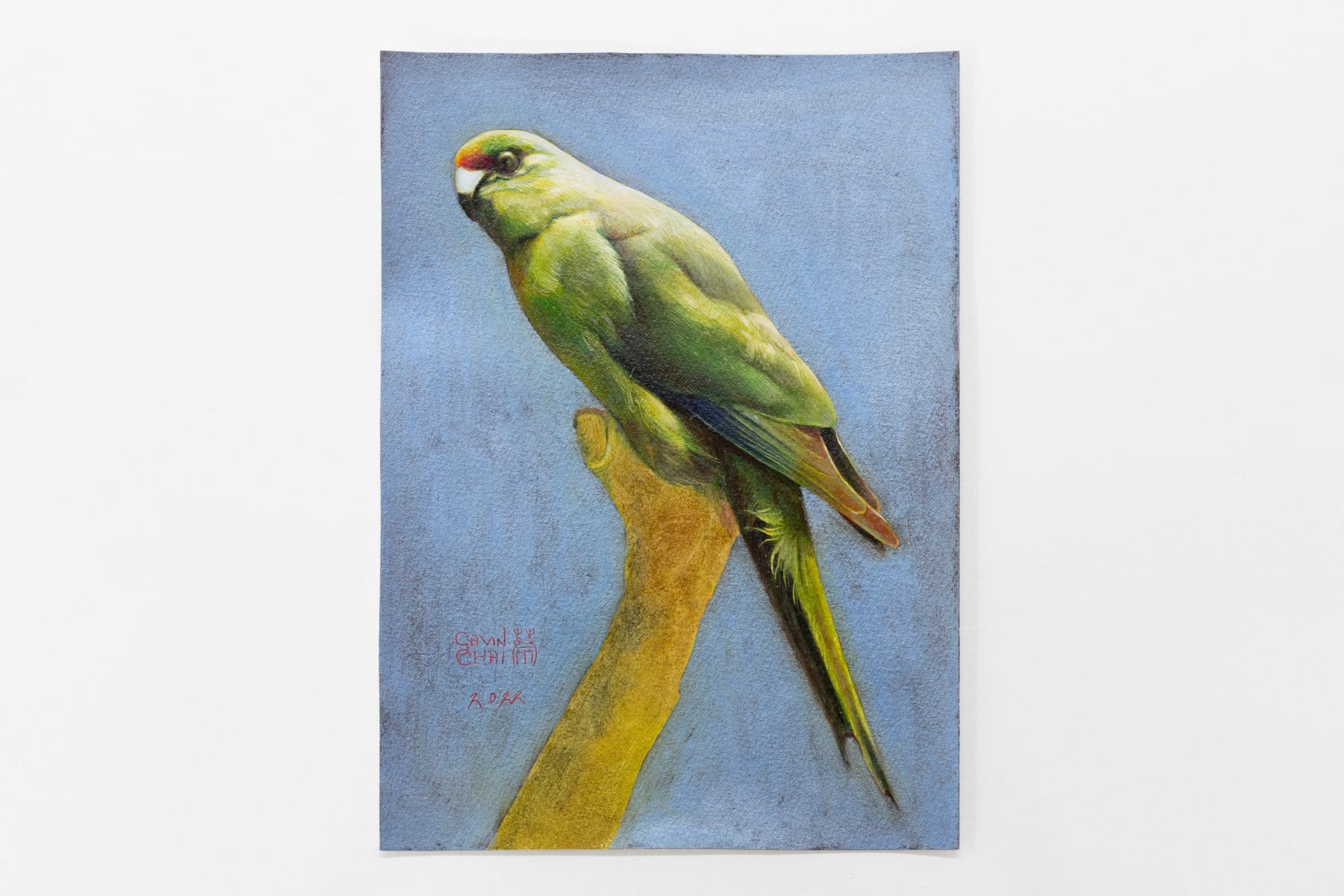 Gavin Chai, Kākāriki, 2022