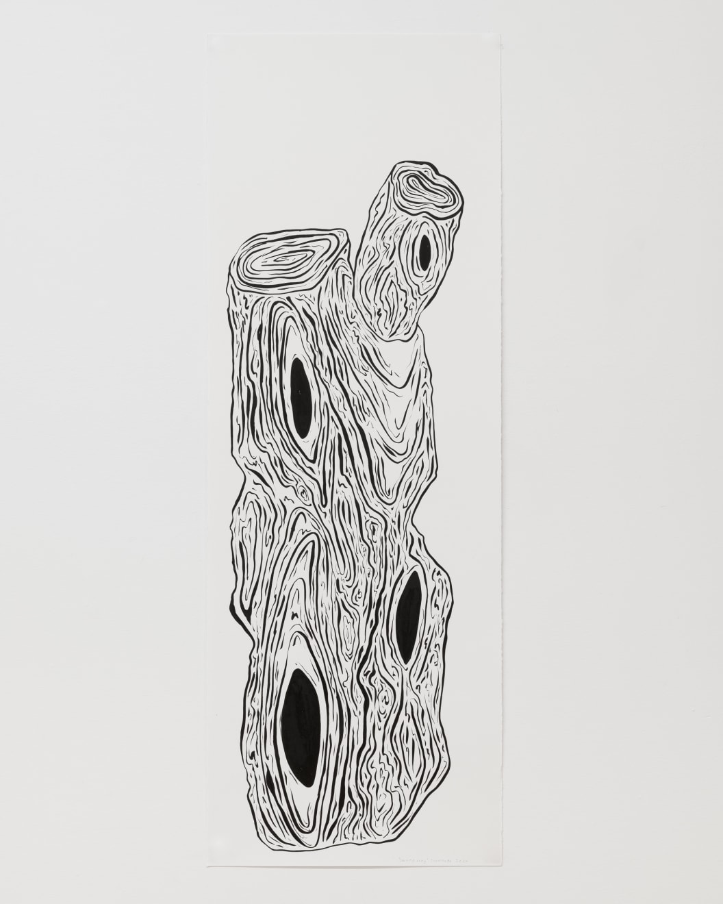 Turumeke Harrington, Swamp Song, 2024
