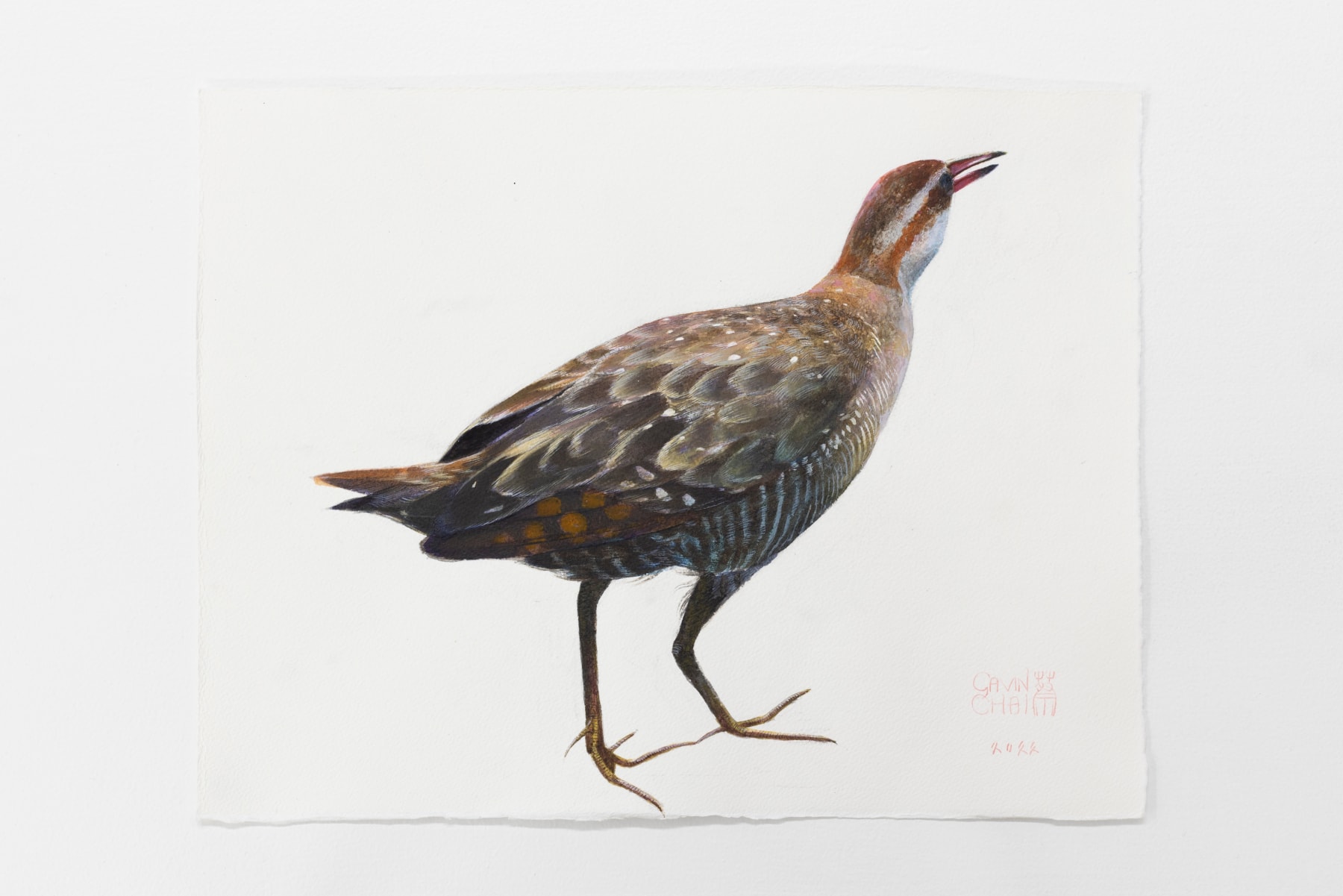 Gavin Chai, Banded Rail, 2022