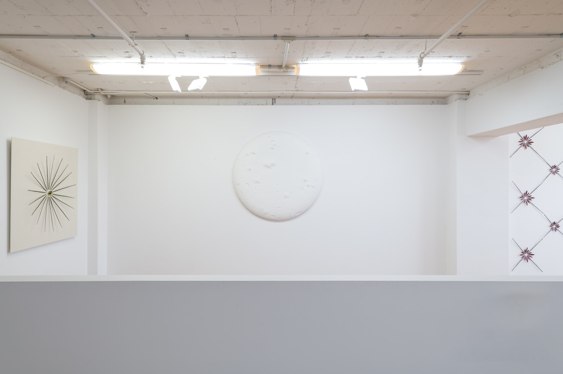 Elizabeth THOMSON, Voyage Sauvage, 2009