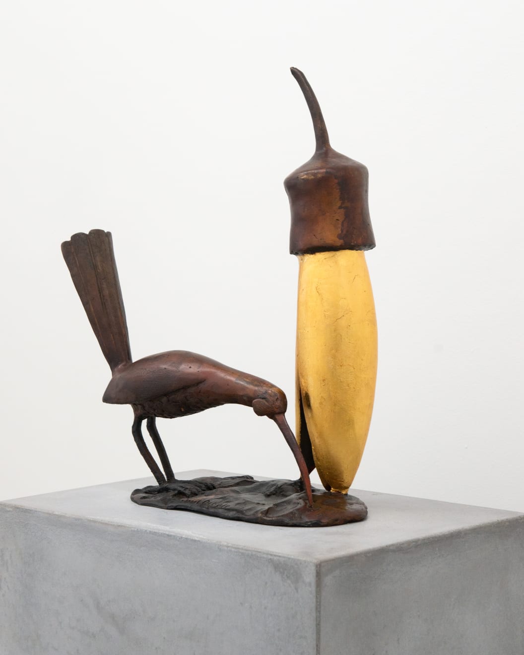 Paul DIBBLE, Bird and Kowhai, 2020