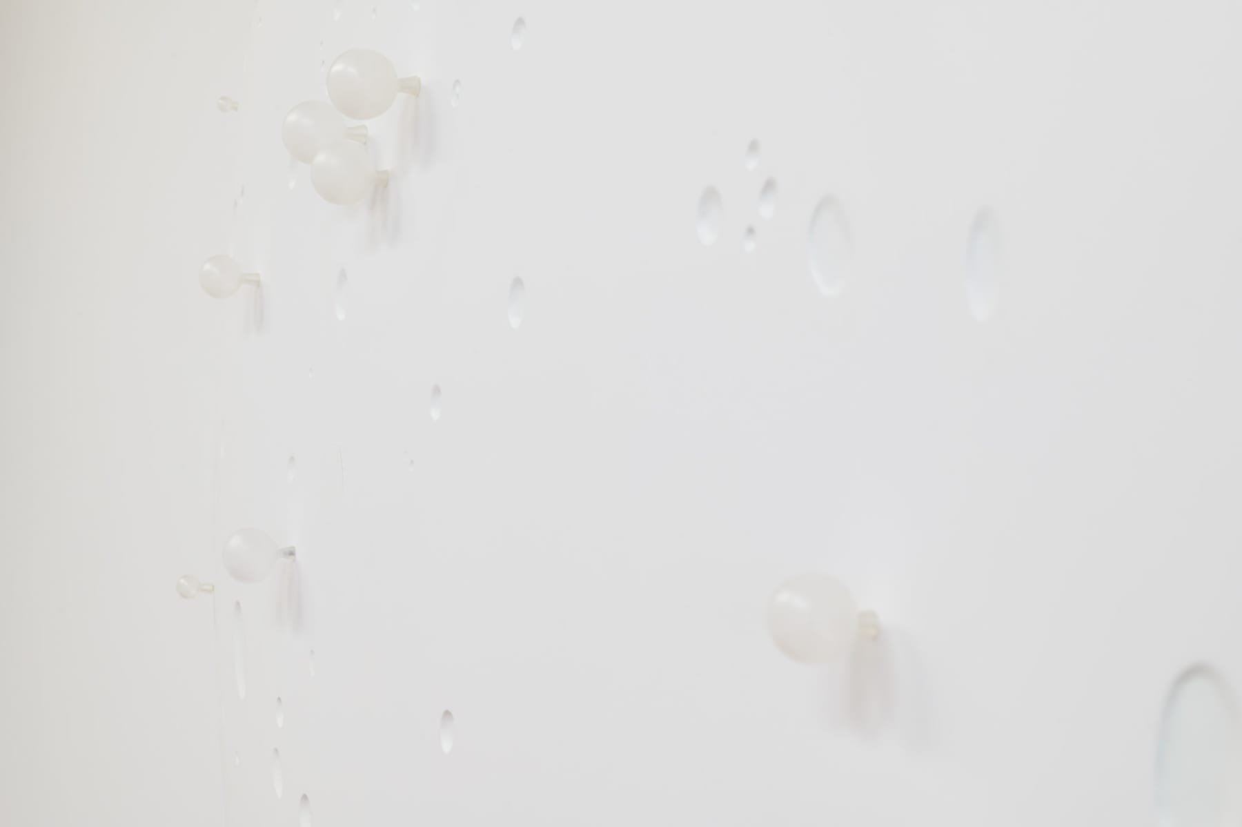 Elizabeth THOMSON, Voyage Sauvage, 2009