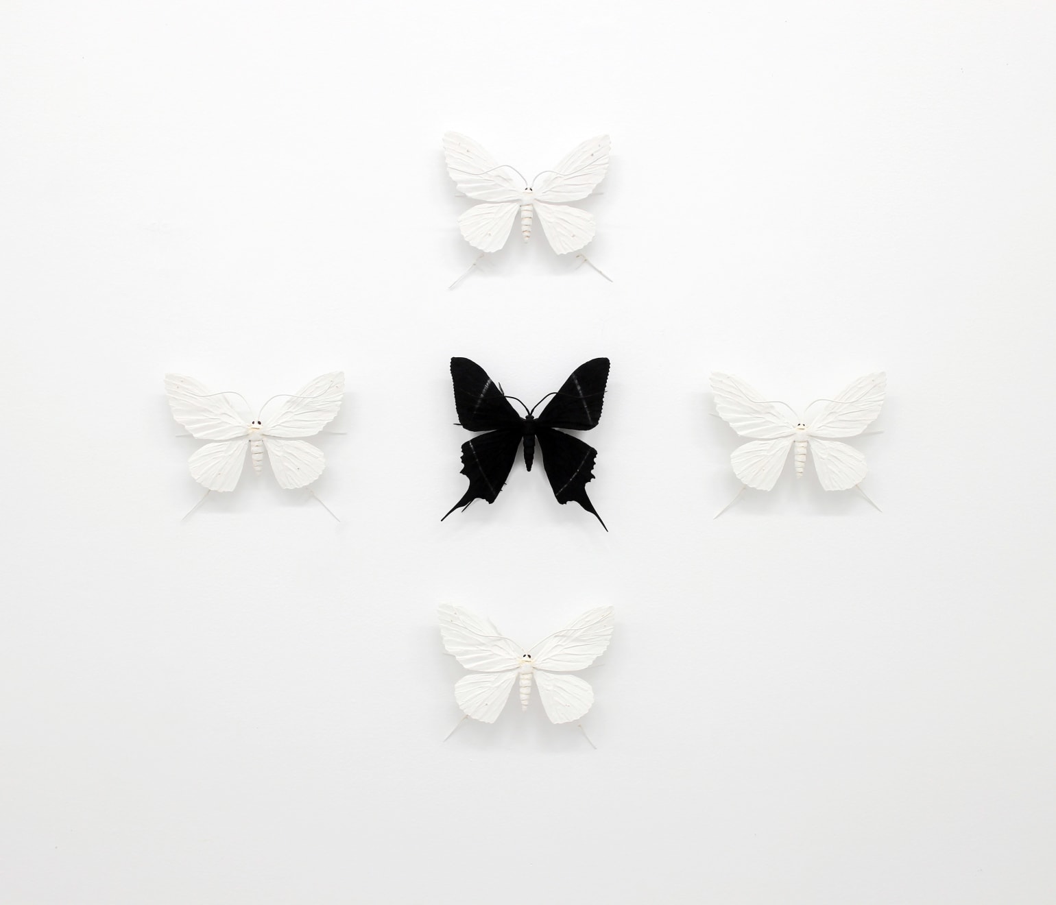 Elizabeth THOMSON, The Black-and-Whites (VI), 2017