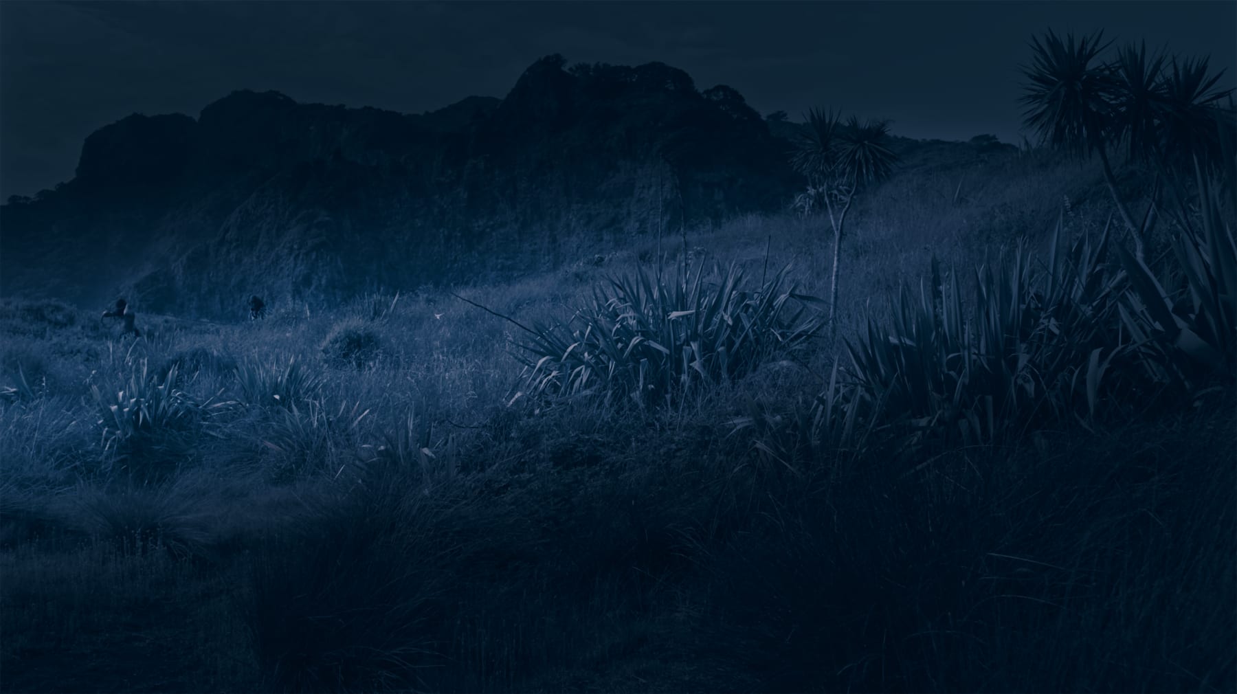 Lisa Reihana, CROSSING RAROHENGA, 2018