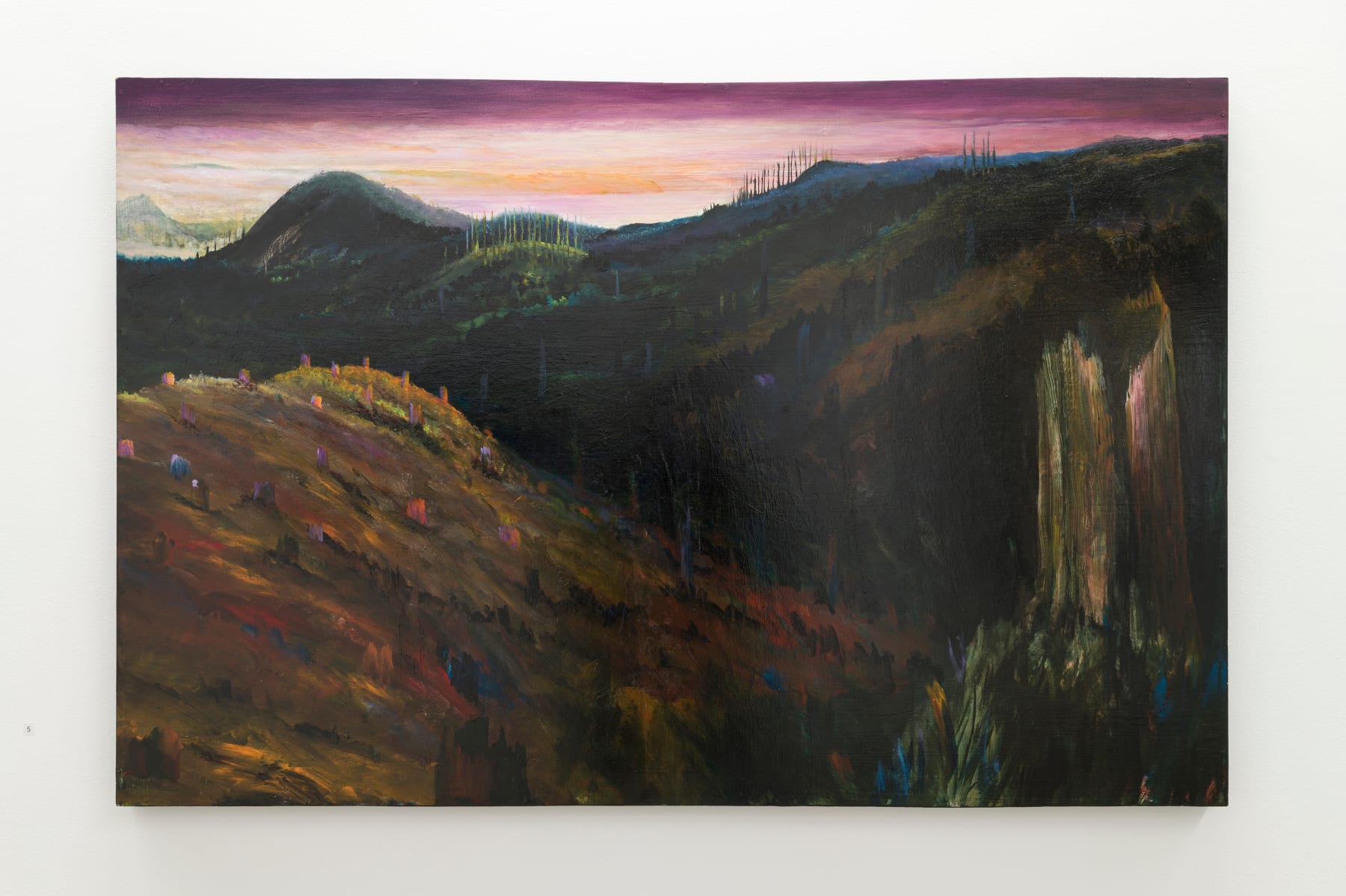 John WALSH, Kōka, 2022