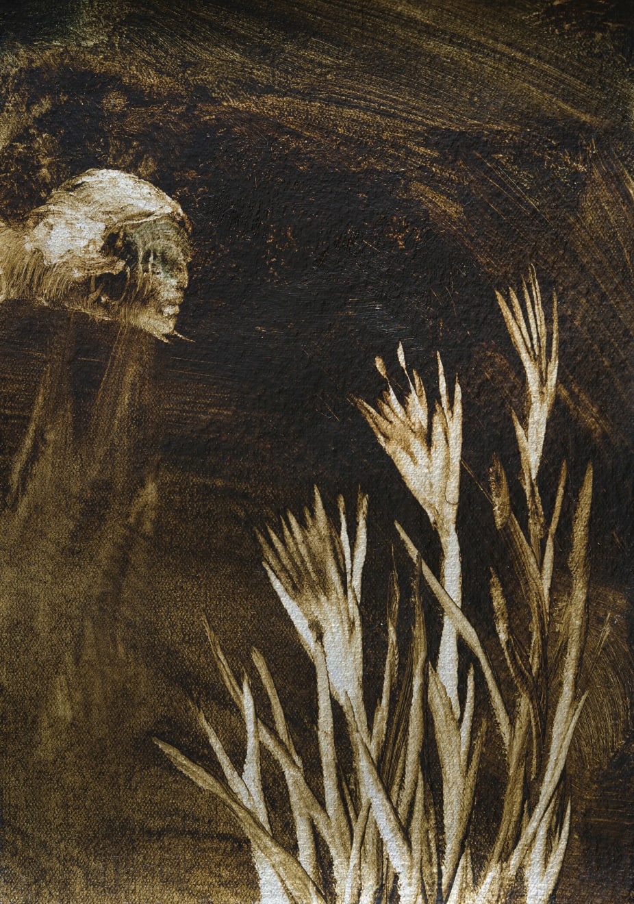 John WALSH, Pollination, 2022