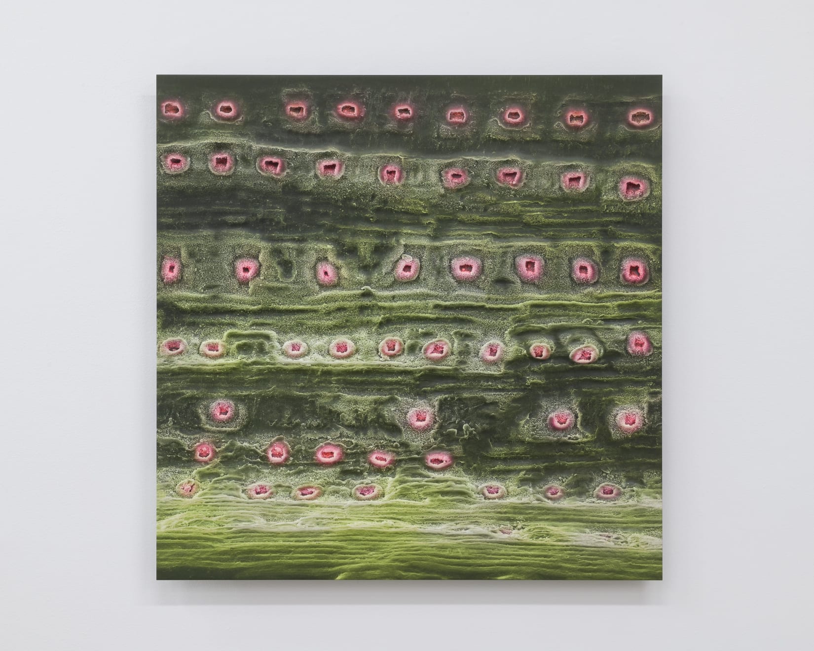 Elizabeth THOMSON, Kitekite / Ketekete, 2024