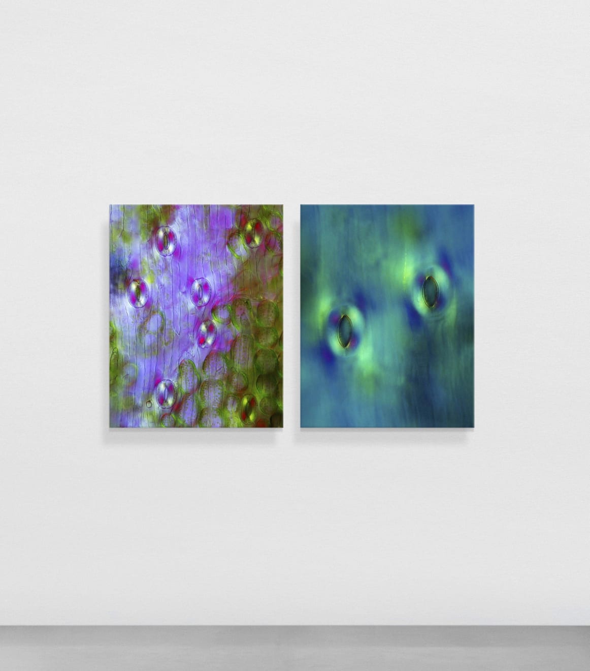 Elizabeth THOMSON, Pool of Mnemosyne (Diptych), 2023