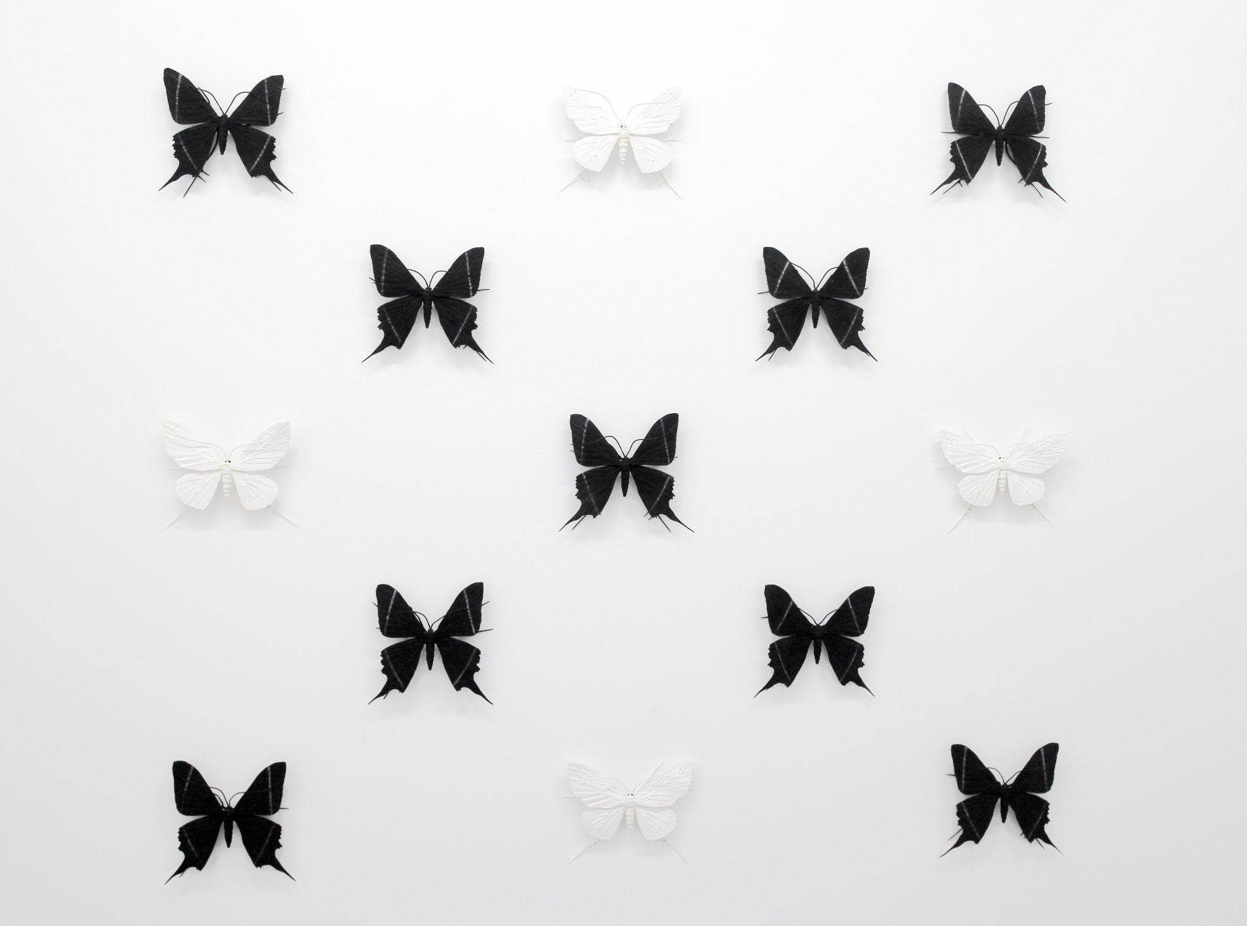 Elizabeth THOMSON, The Black-and-Whites (VII), 2017