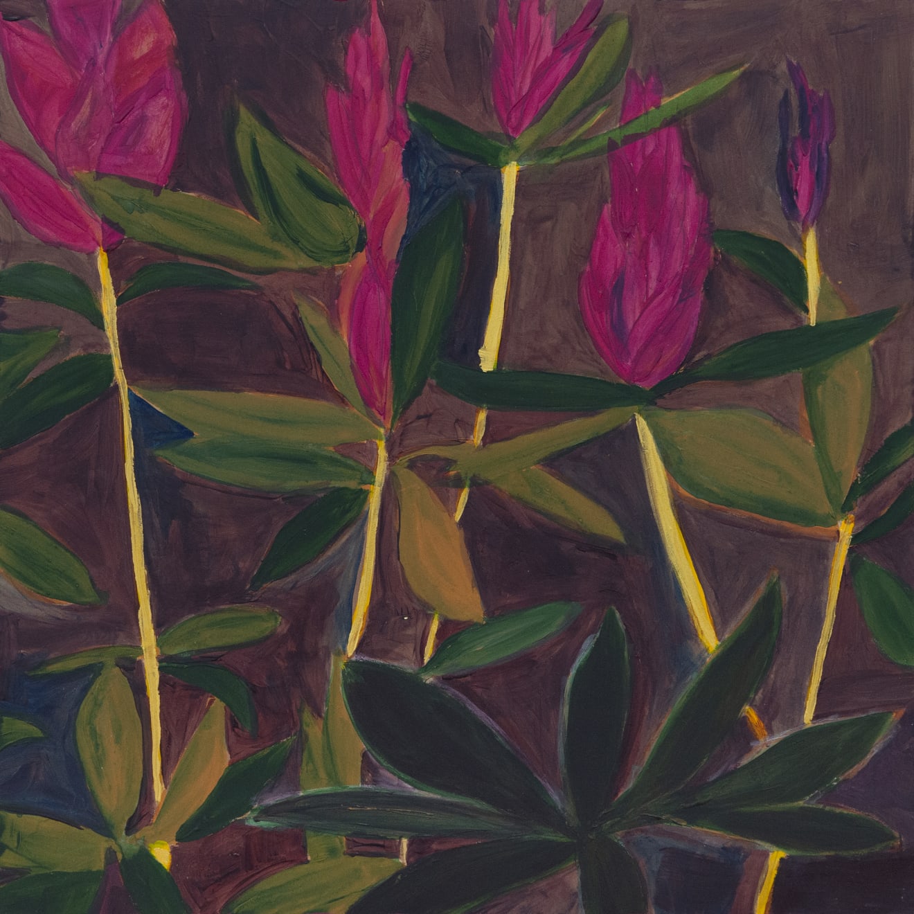 Negin Dastgheib, Kisses, 2018