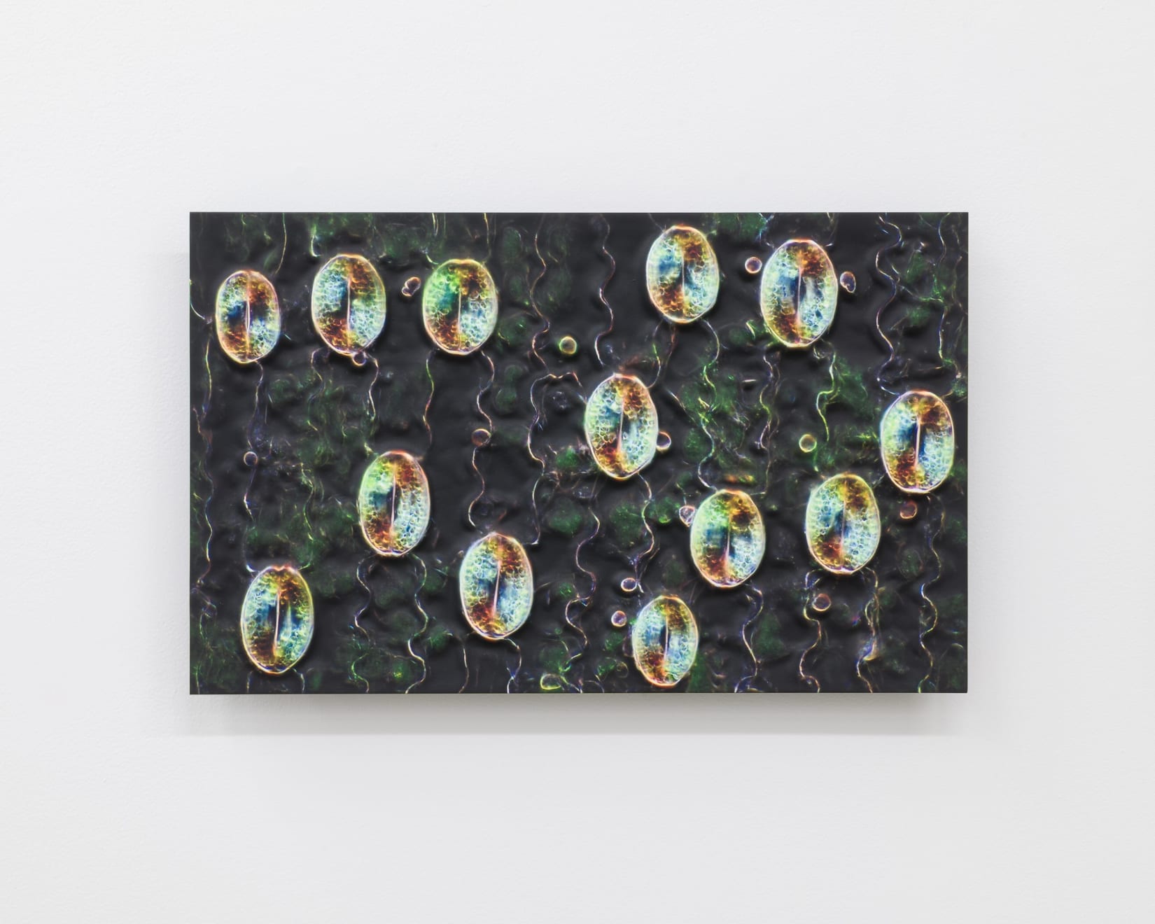 Elizabeth THOMSON, Distributed Being, after Brian Eno, 2024