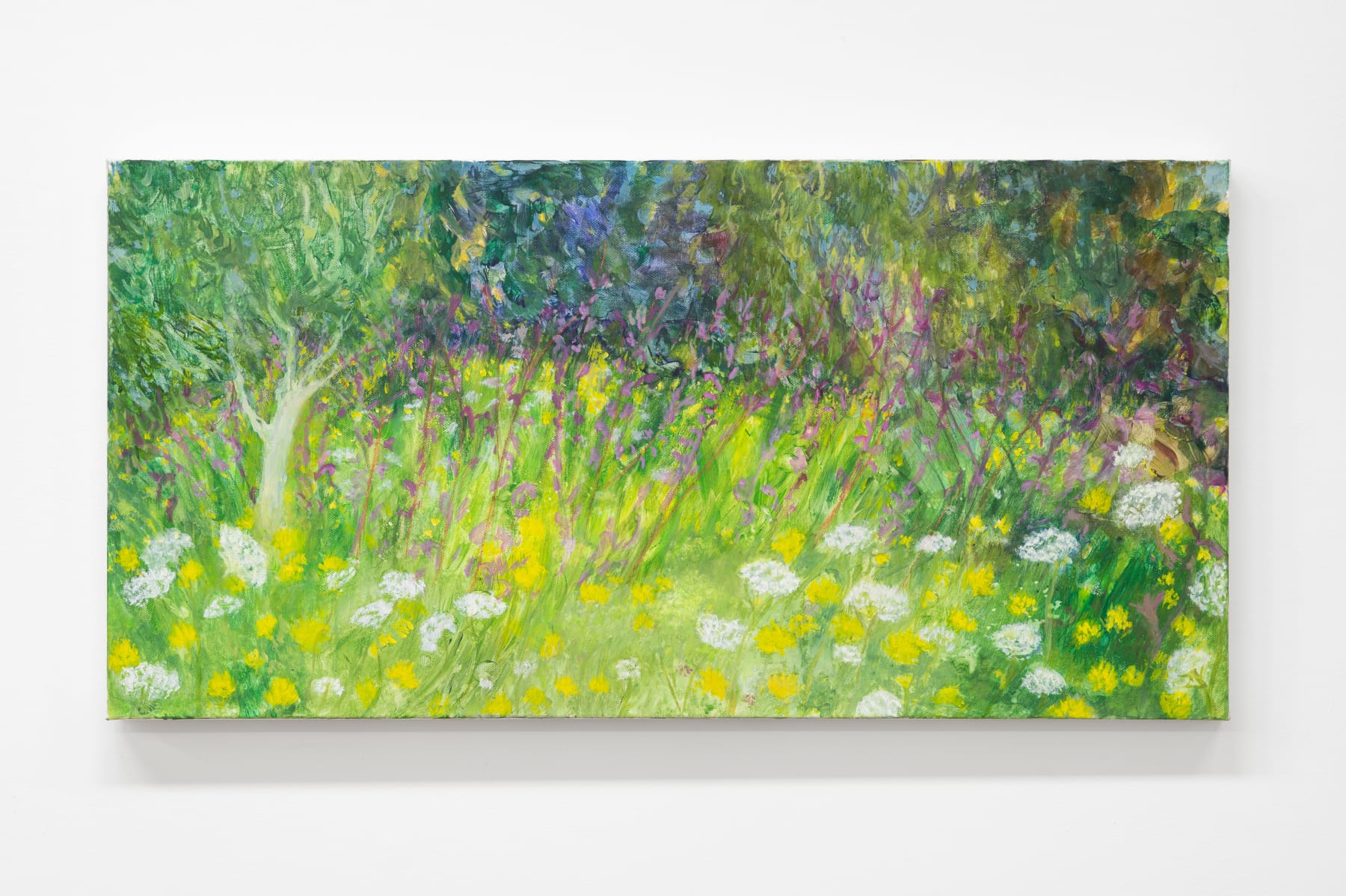 Star GOSSAGE, The Peaceful Place, 2024