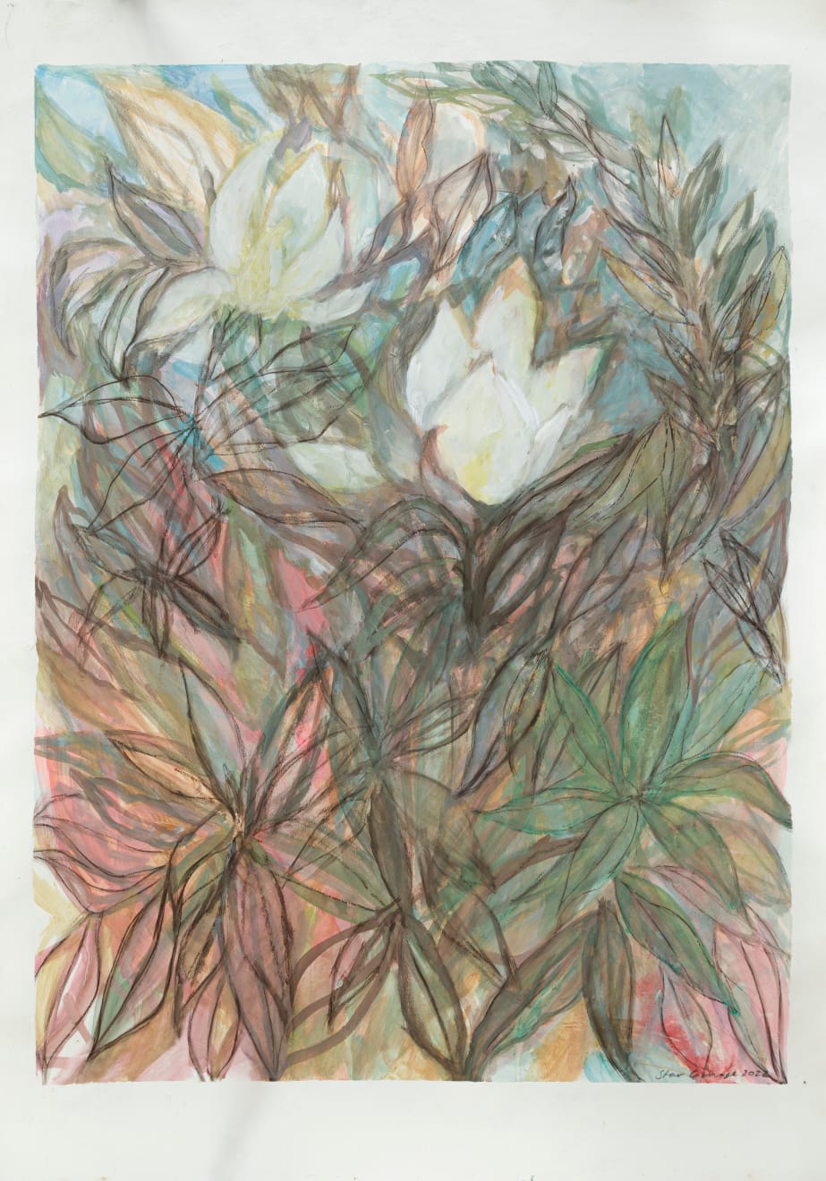 Star GOSSAGE, Magnolia, 2022