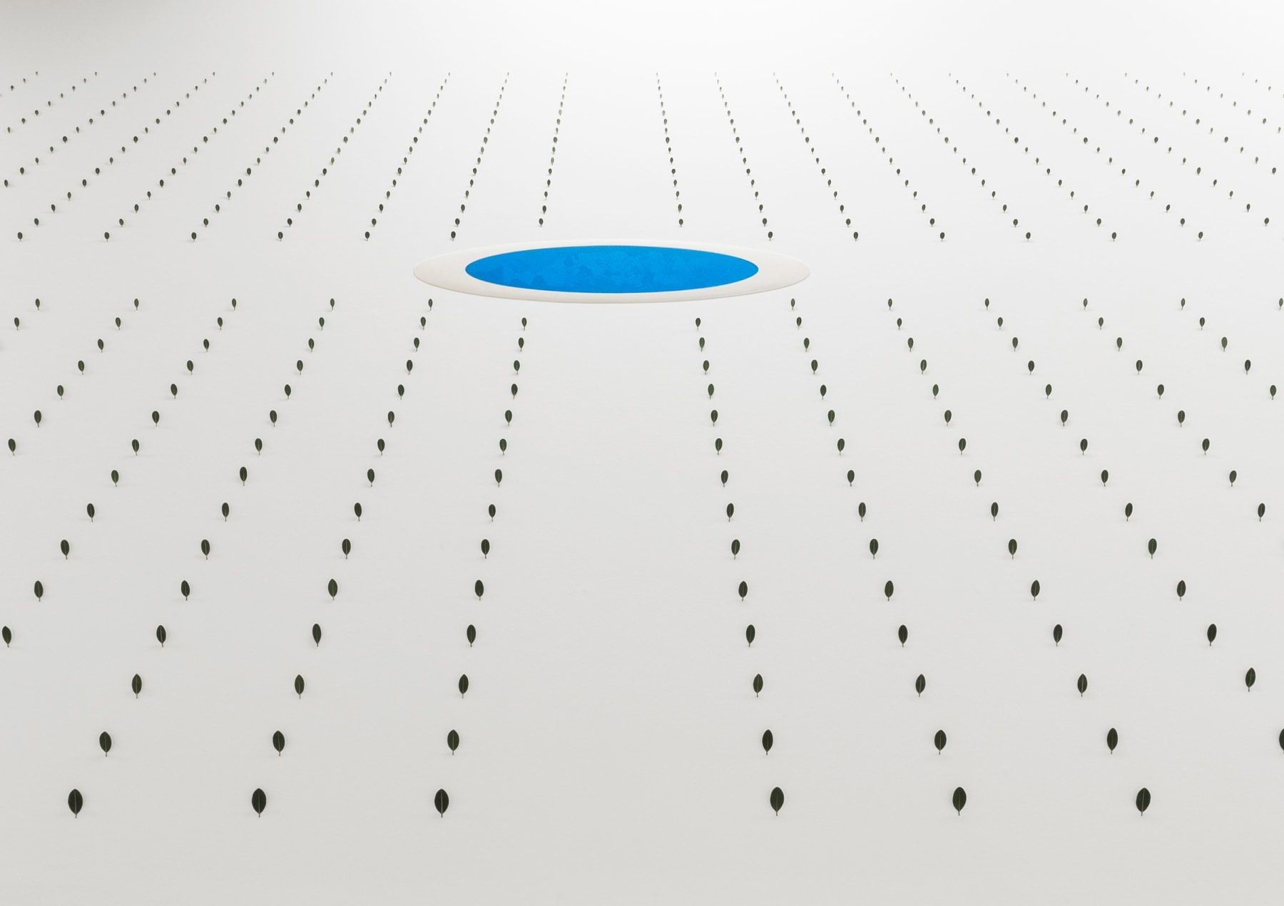 Elizabeth THOMSON, Pool of Memory , 2006 -2023