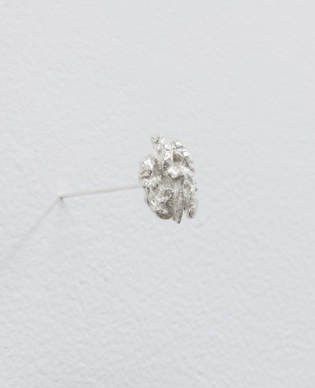Turumeke Harrington, A whole half (Seeds of Rangiātea), 2024