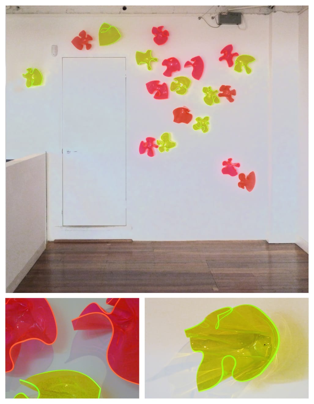Judy Darragh, Laser Blooms, n.d.