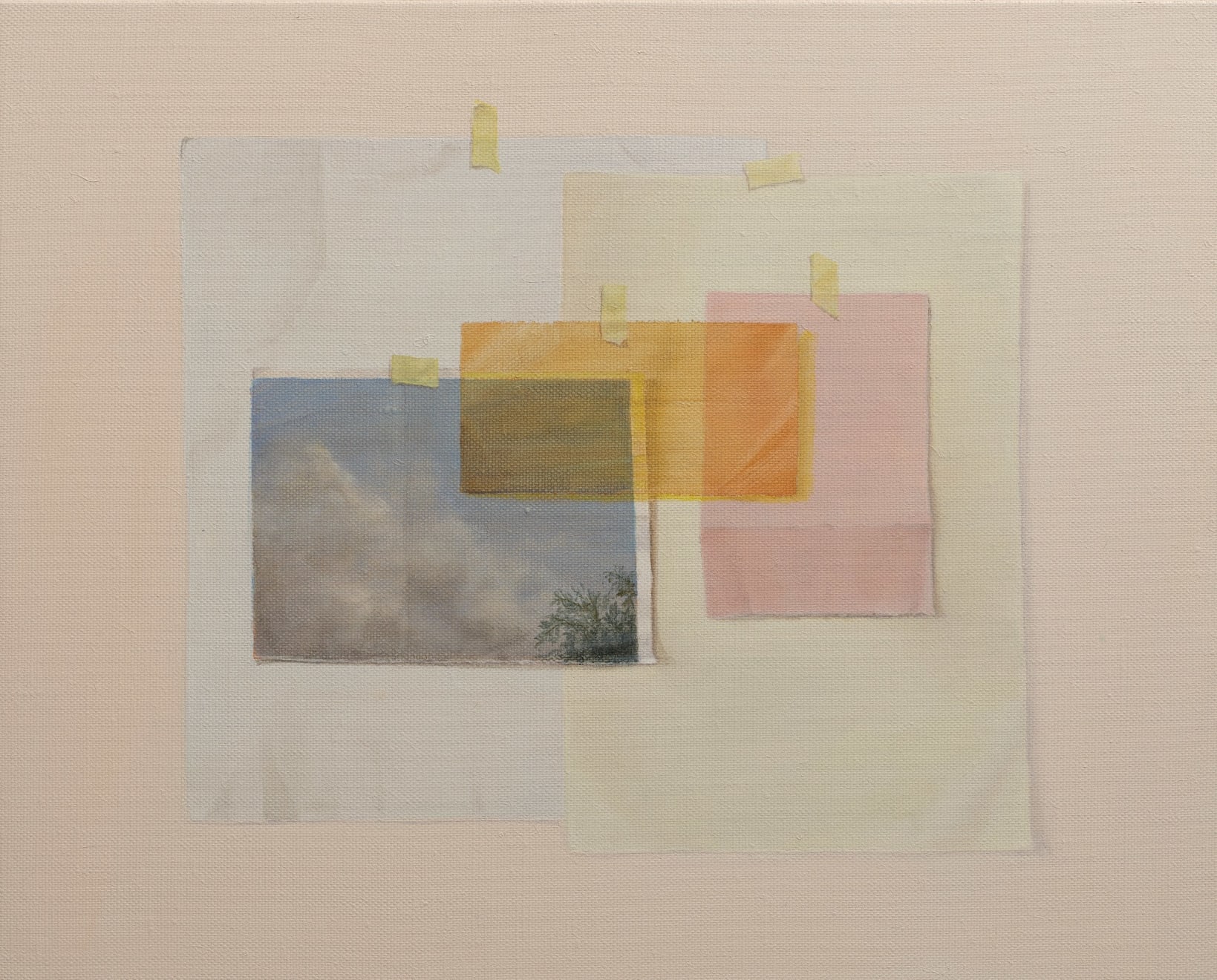 Emily Wolfe, Plan, 2023
