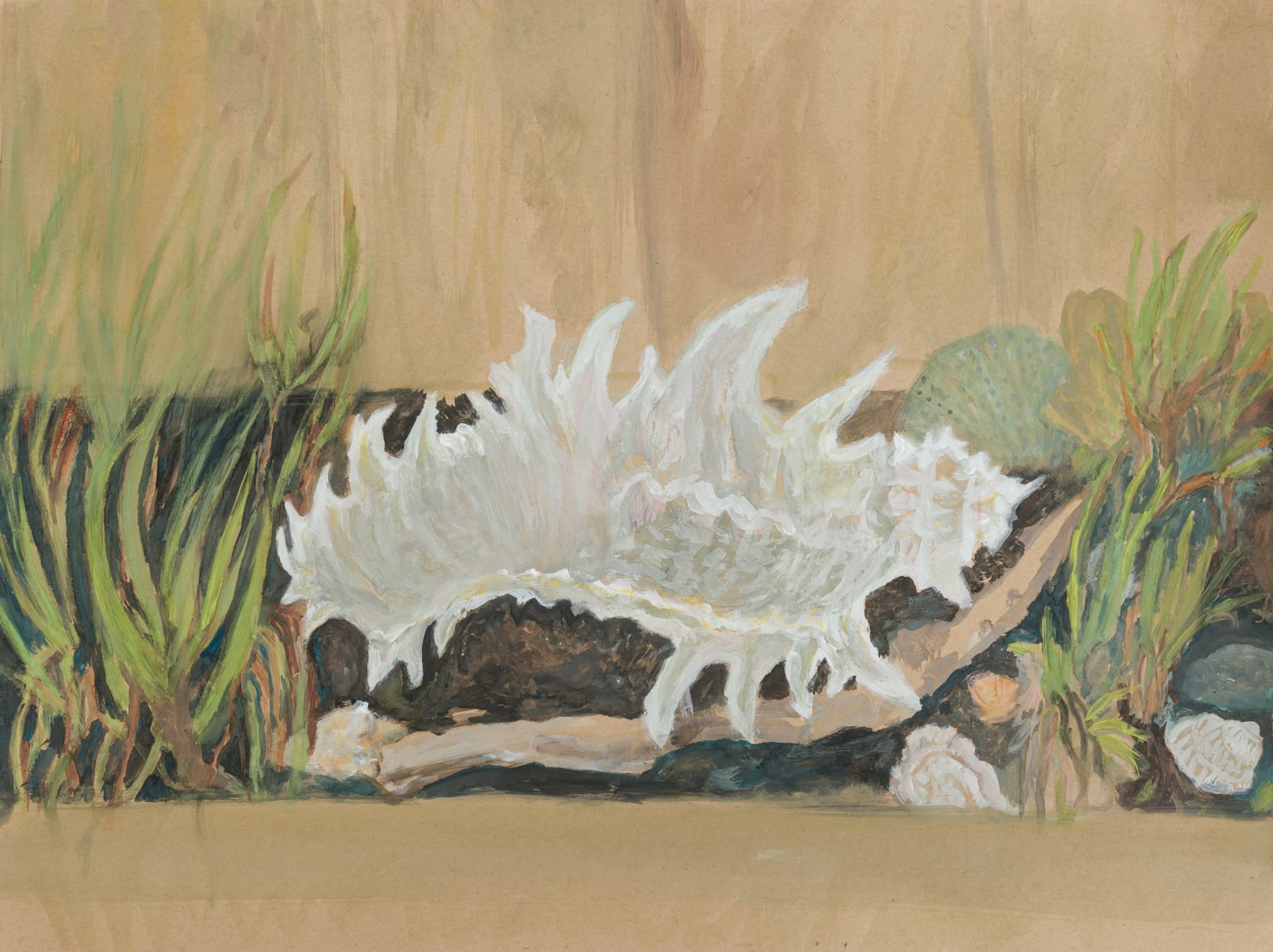 Star GOSSAGE, Pātaua Shells II, 2022