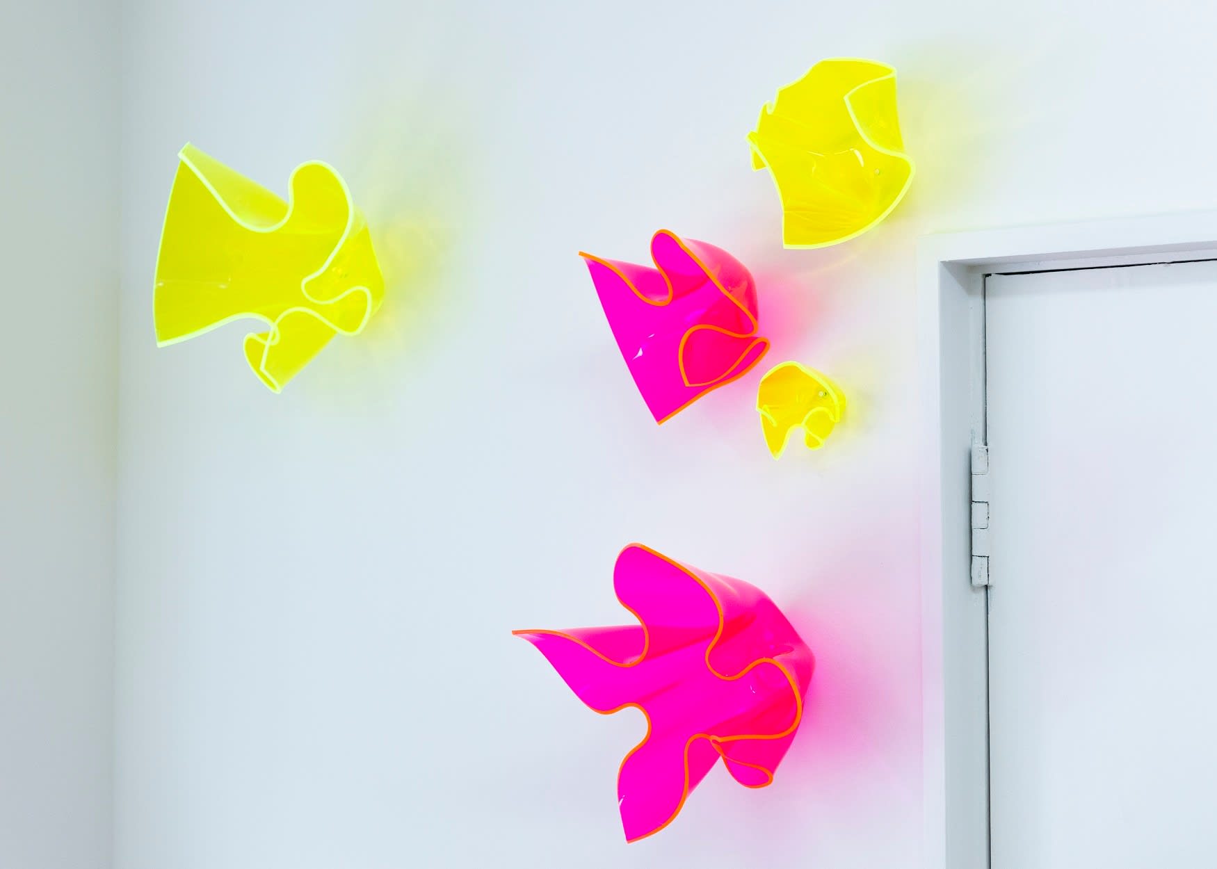 Judy Darragh, Laser Bloom (Pink), 2018