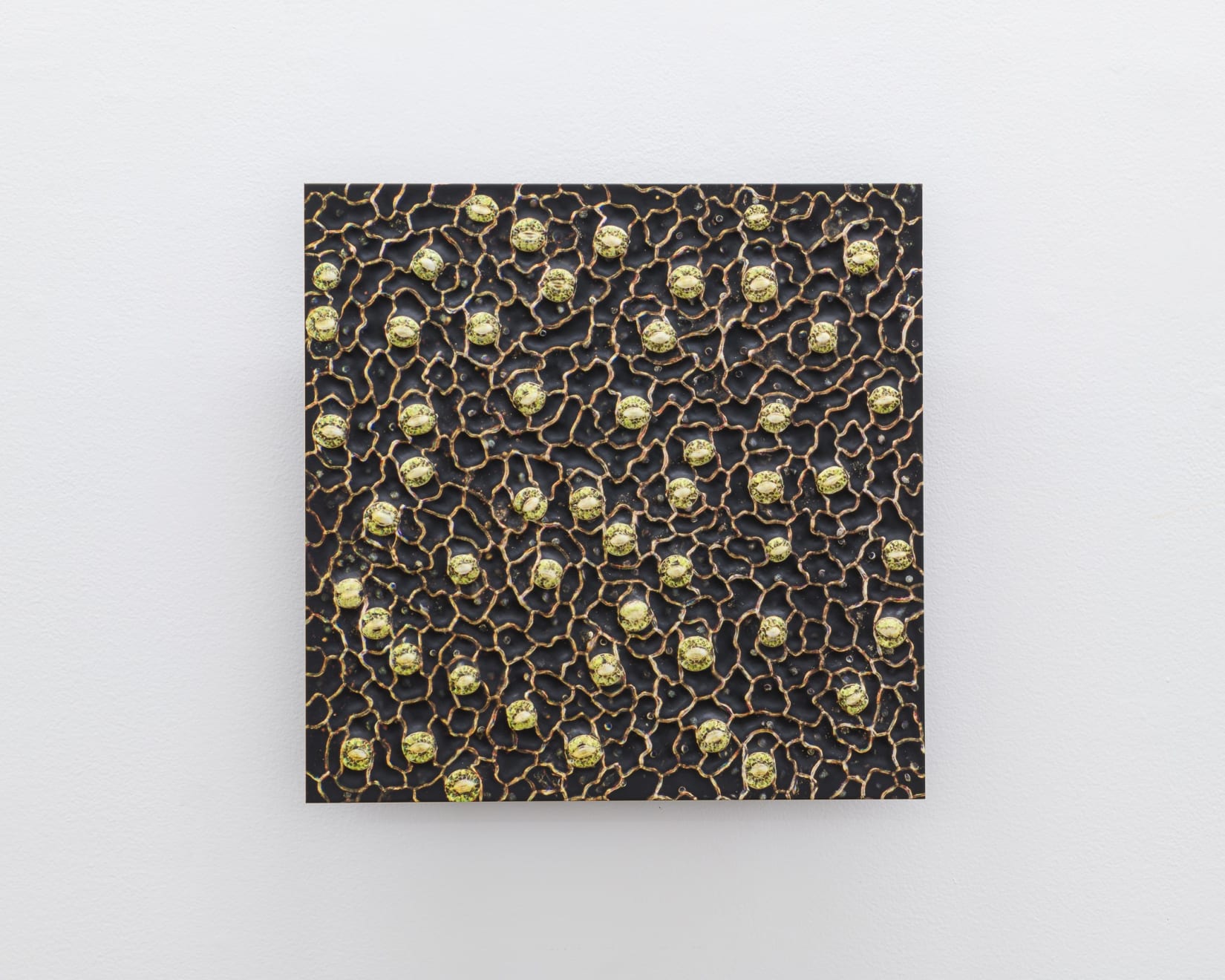 Elizabeth THOMSON, Eerie Exchange I, 2024