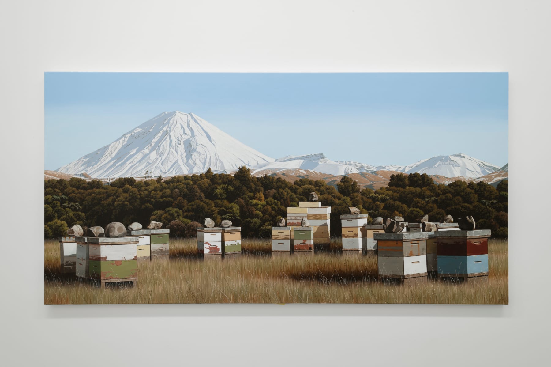 Michael Hight, Ngāuruhoe, 2023