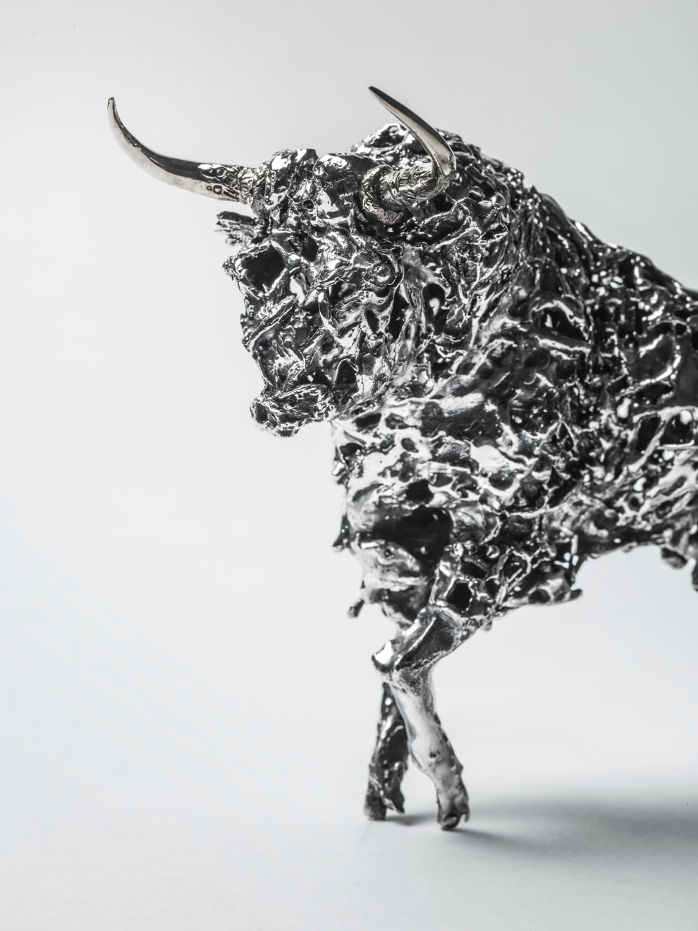 Deborah Van Der Beek, Bull, 2016
