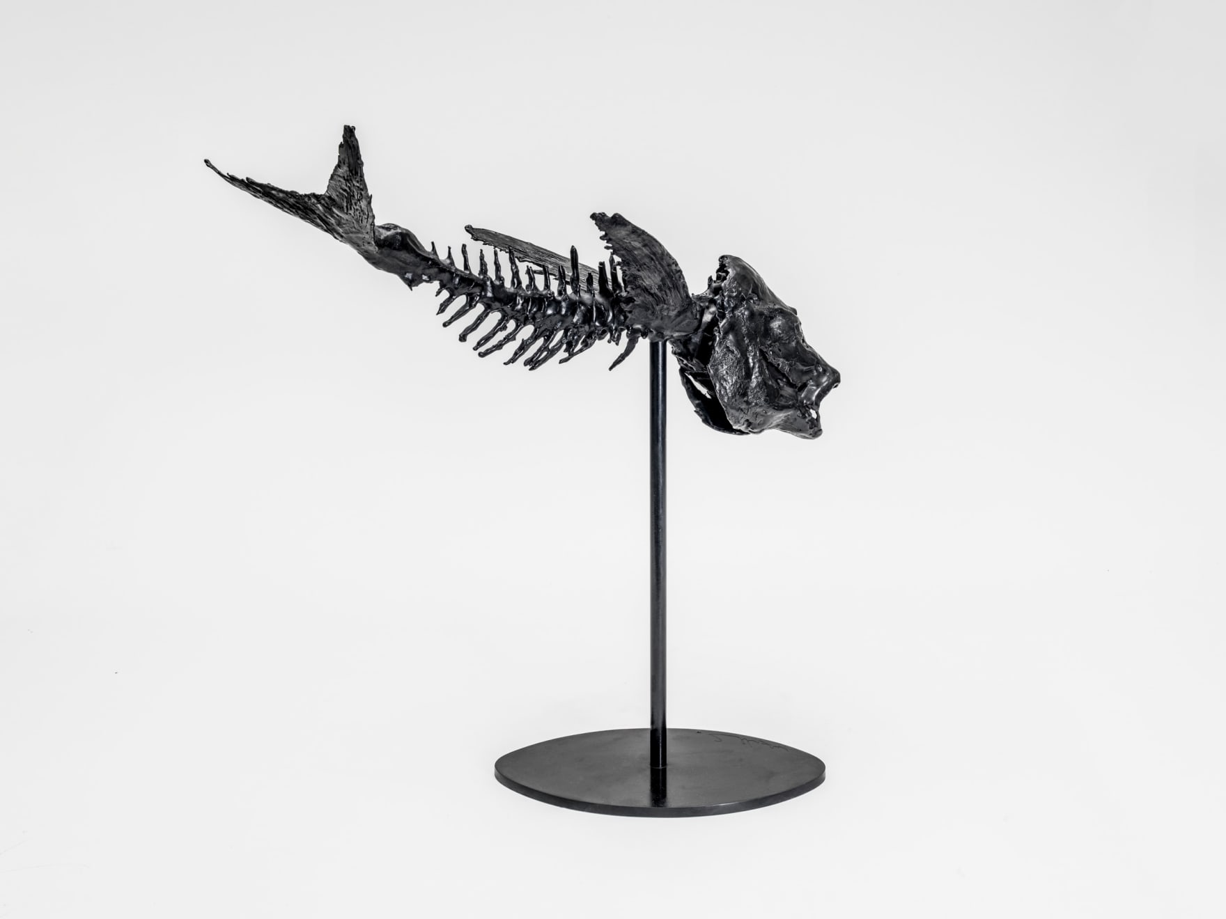 Abigail Fallis, Exorcet