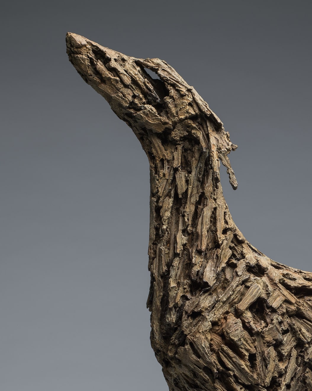 Joseph Paxton, Hang Dog II, 2021