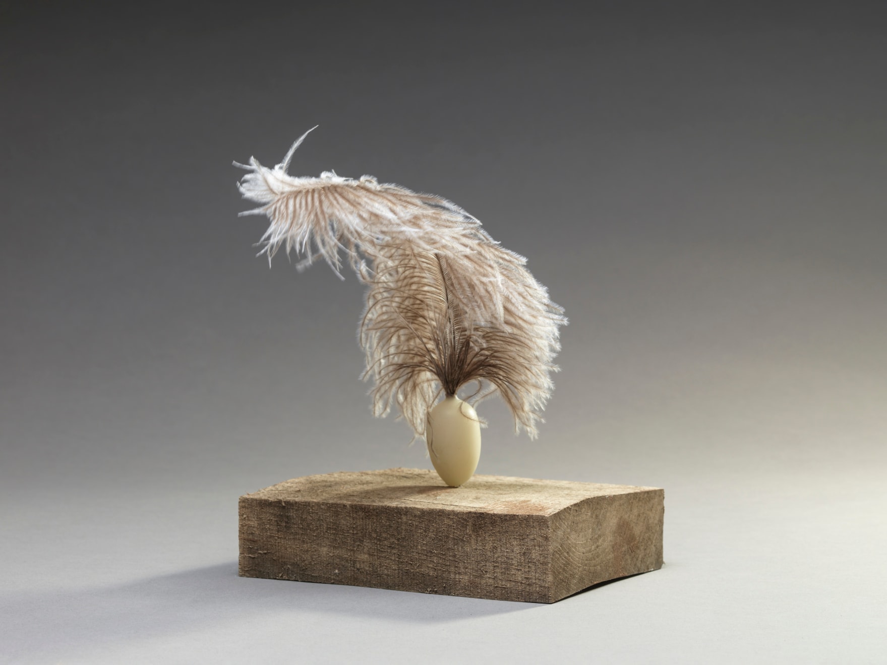 Susie MacMurray, En Pointe, 2024