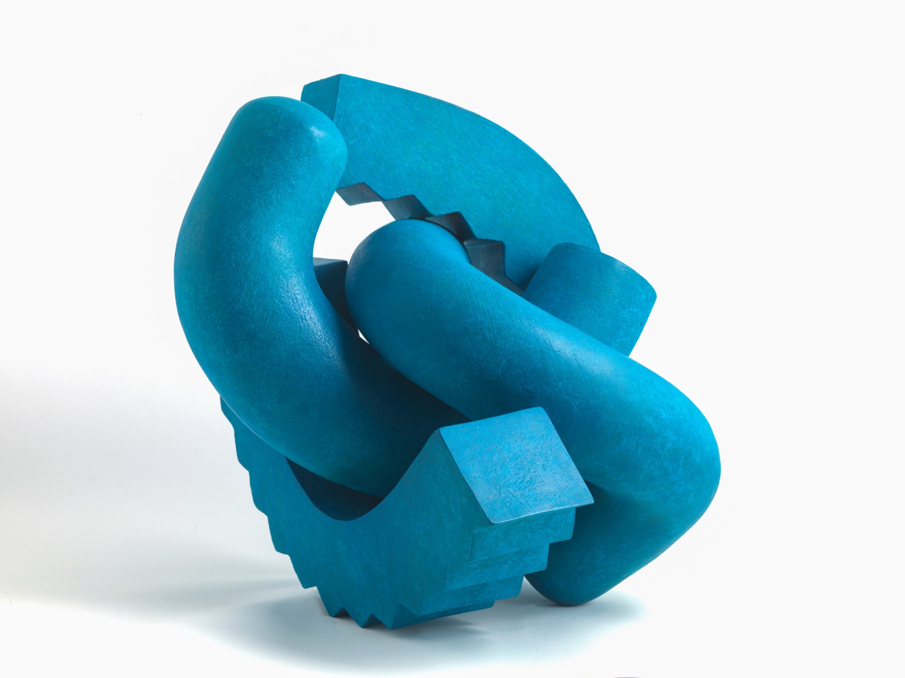 Patricia Volk, Cog, 2020