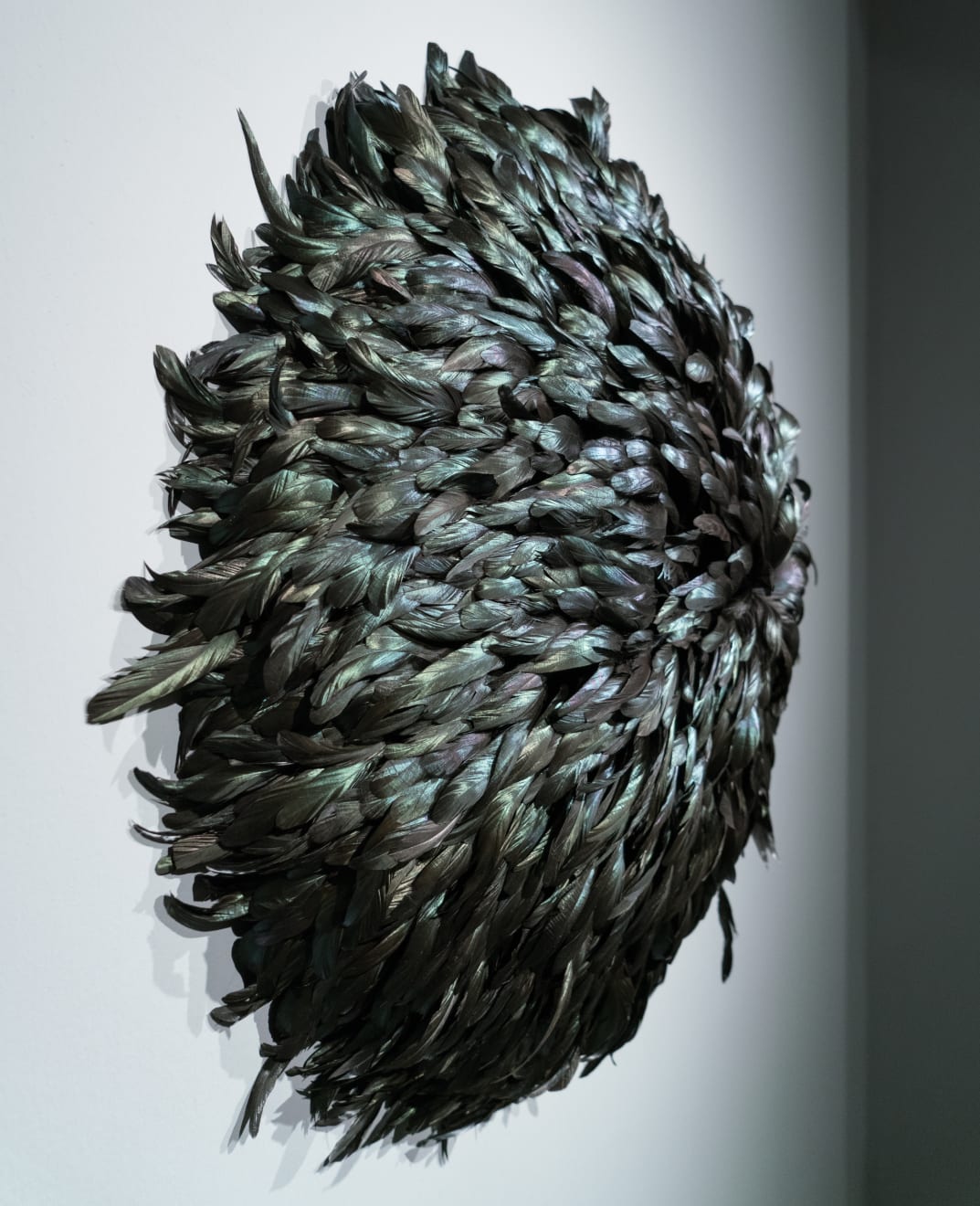 Susie MacMurray, After Flock, 2011