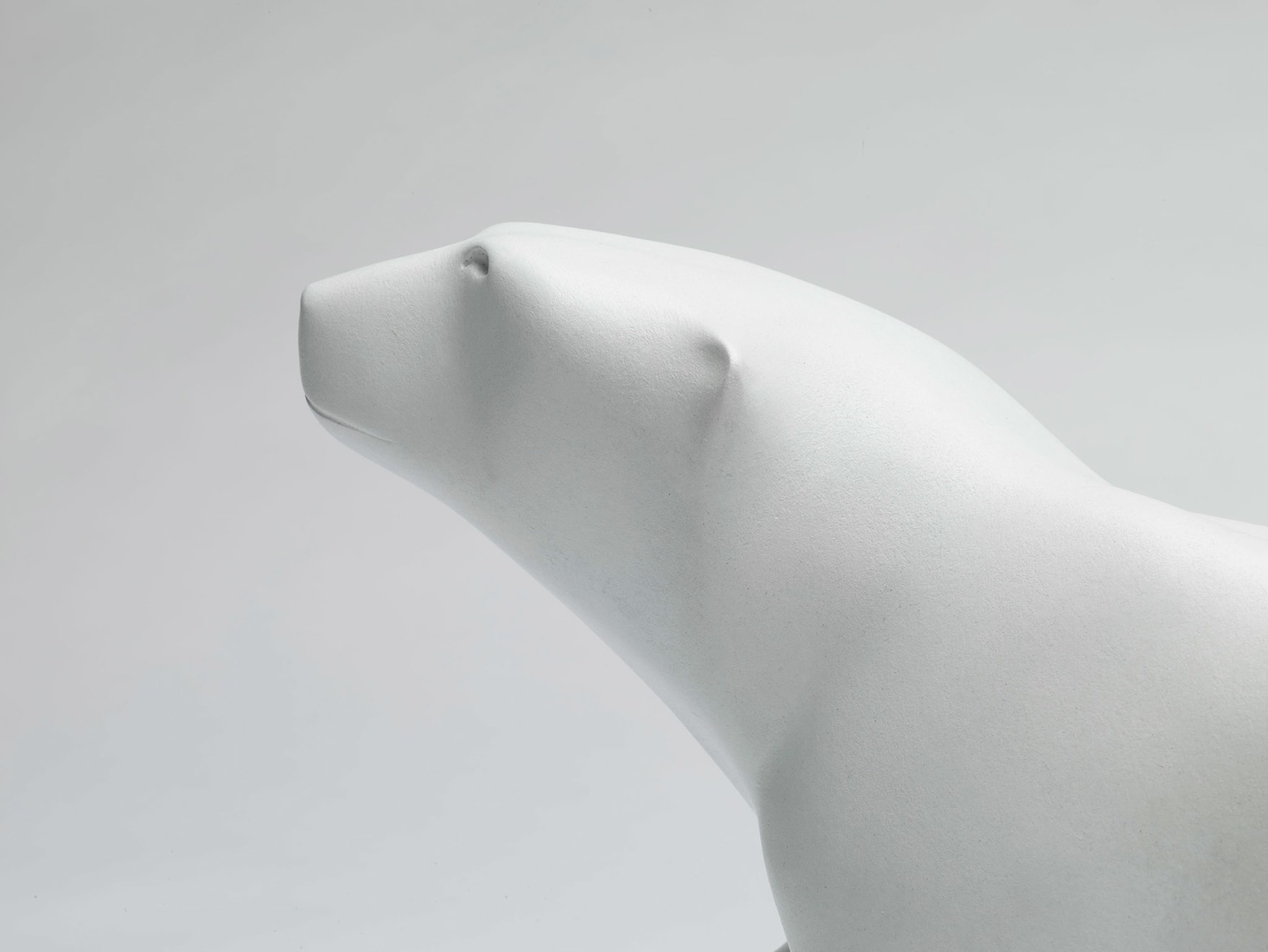 Michael Cooper, Polar Bear, c.2011