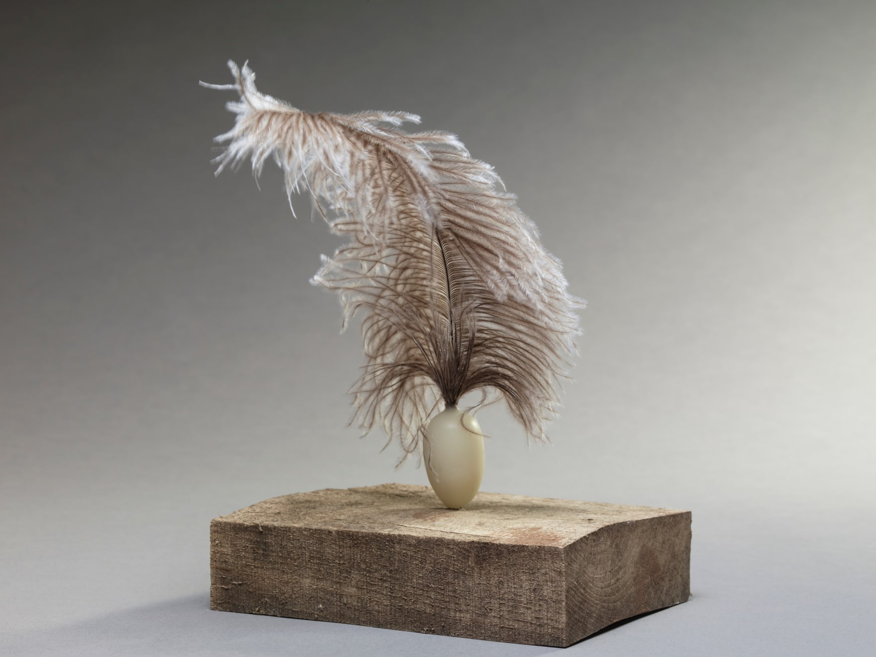 Susie MacMurray, En Pointe, 2024