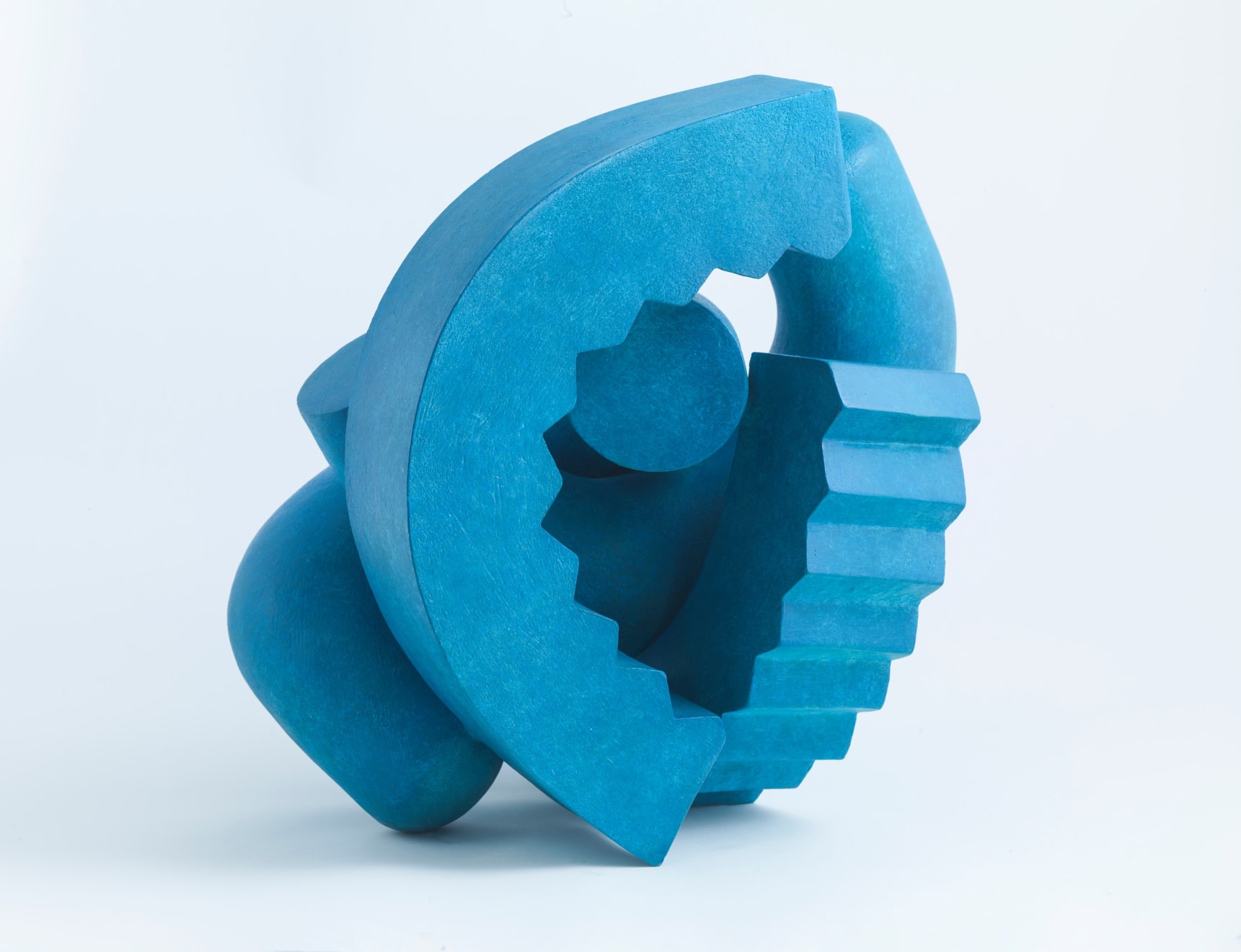 Patricia Volk, Cog, 2020